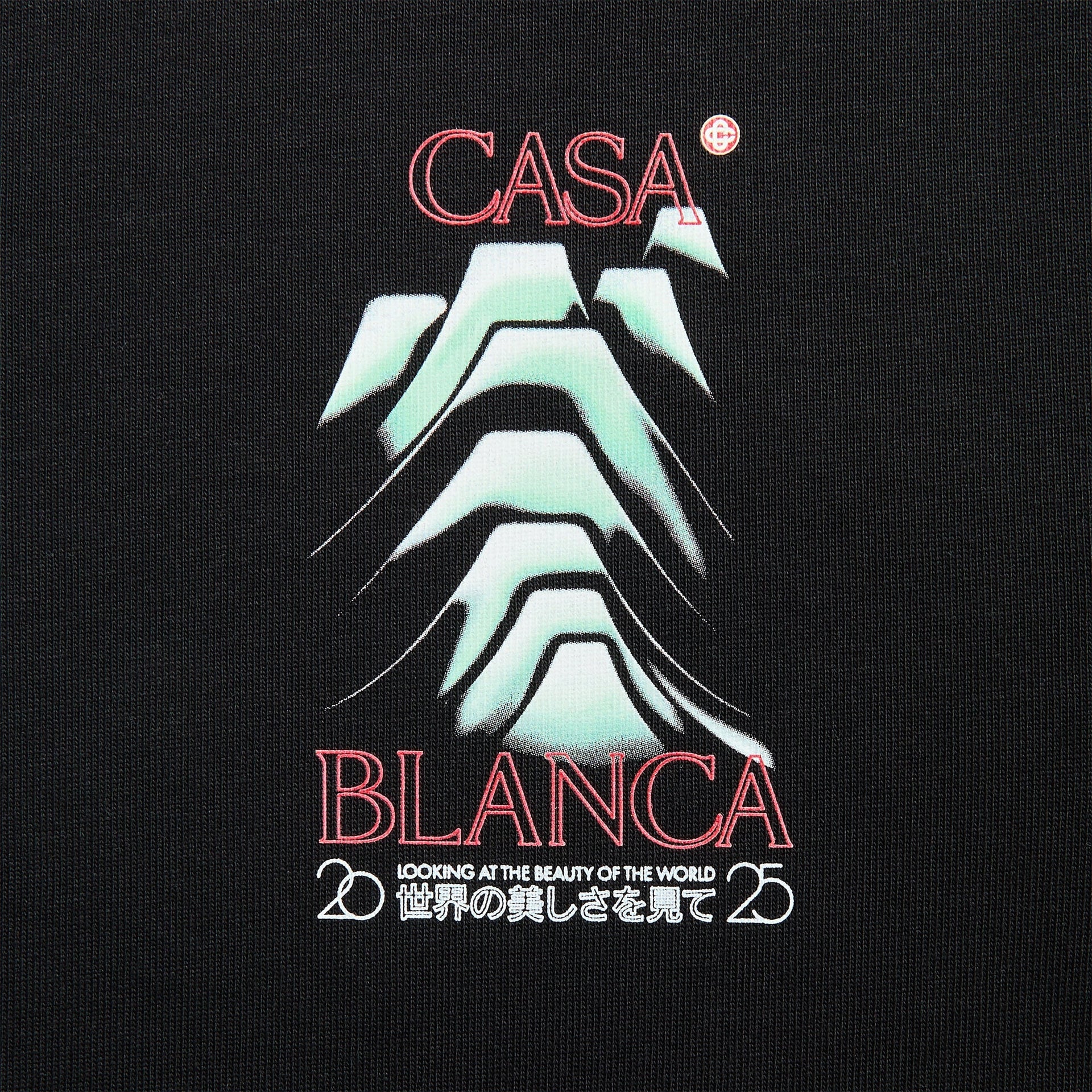 Casablanca Frosty Mountain Screen Printed Oversized Tee in Black
