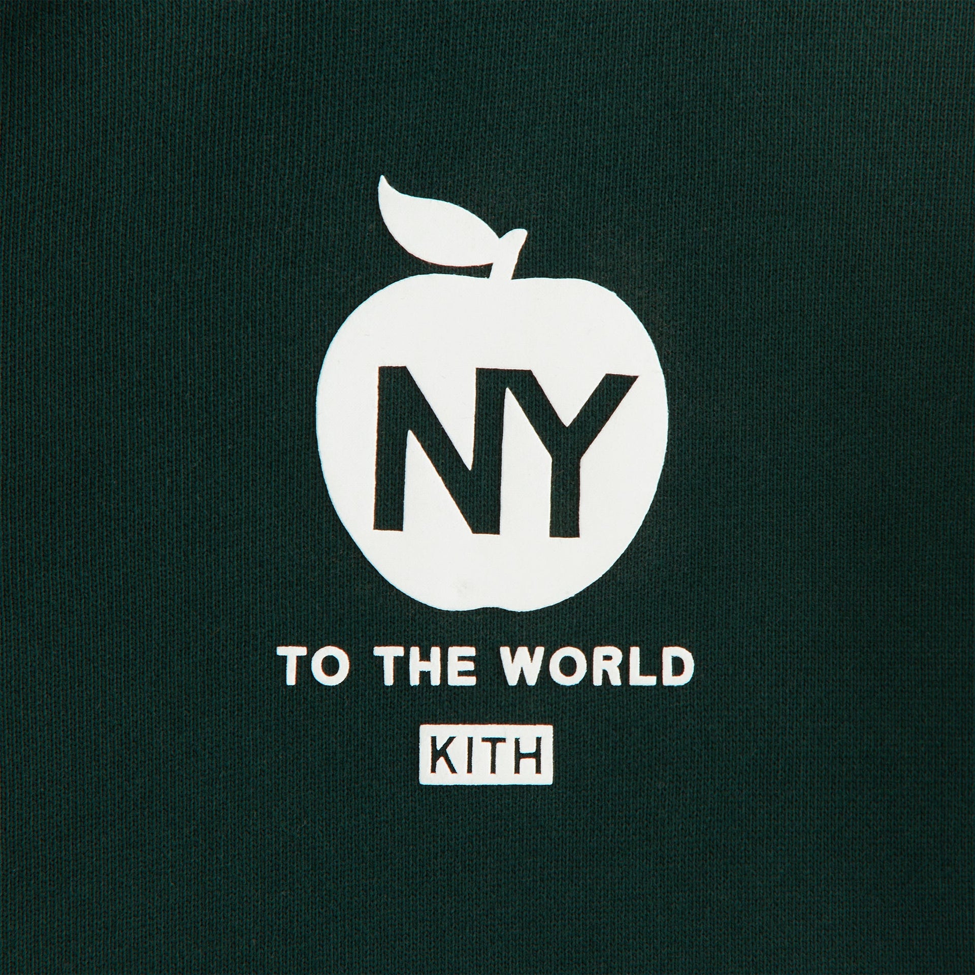 Kith Kids Logo Zip Nelson Hoodie - Stadium