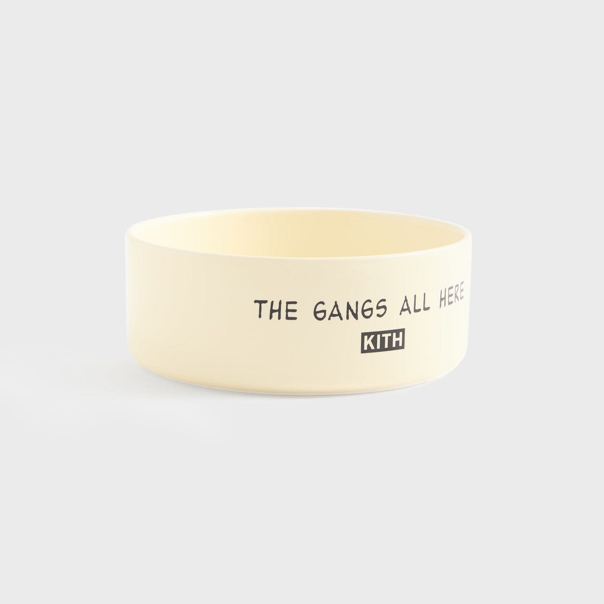 Kith for Peanuts Snoopy Dog Bowl - Sandrift