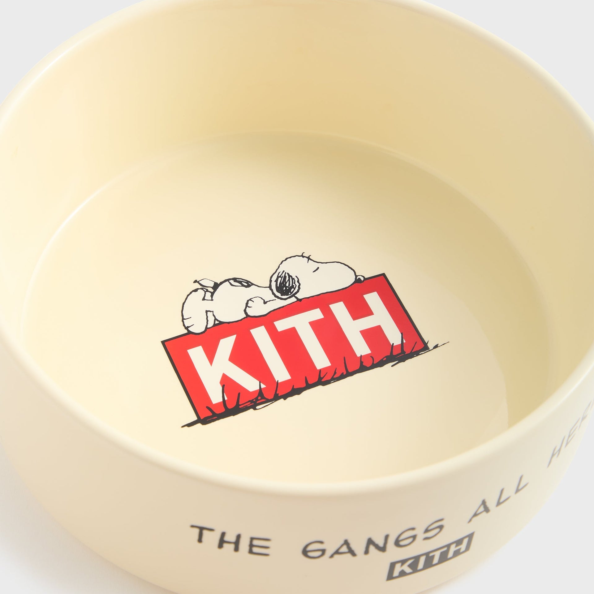 Kith for Peanuts Snoopy Dog Bowl - Sandrift