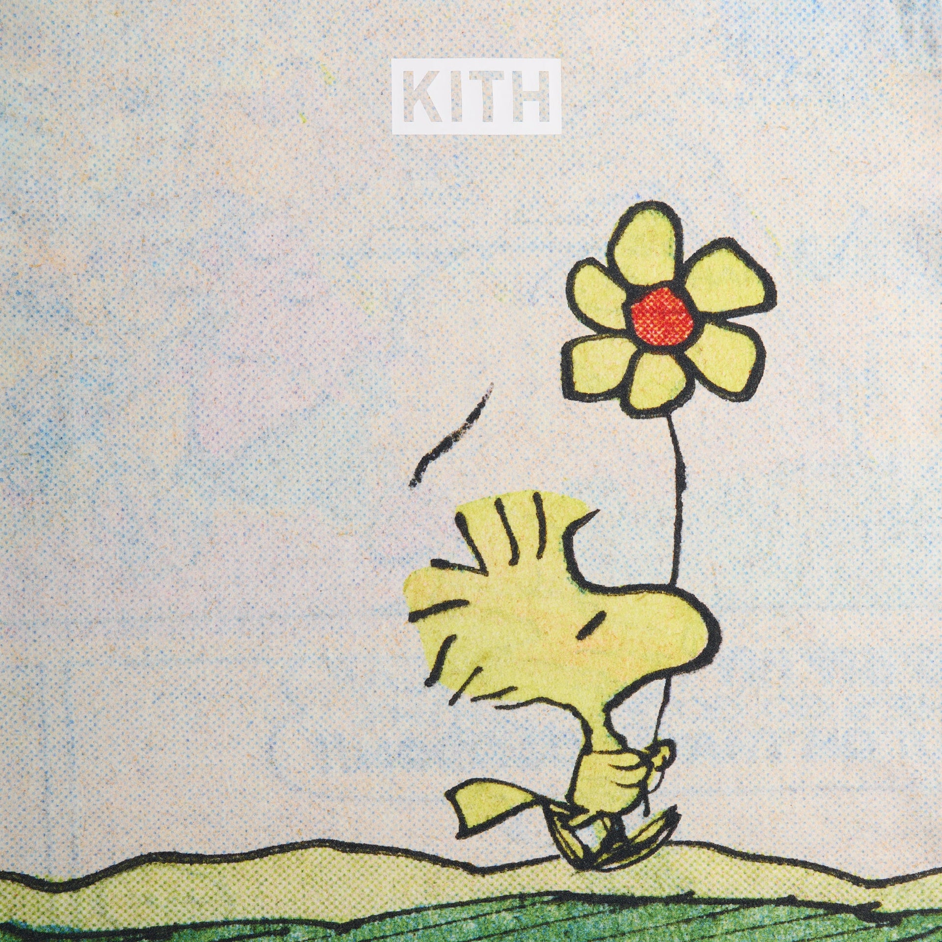 Kith for Peanuts Woodstock Comic Vintage Tee - Chalk