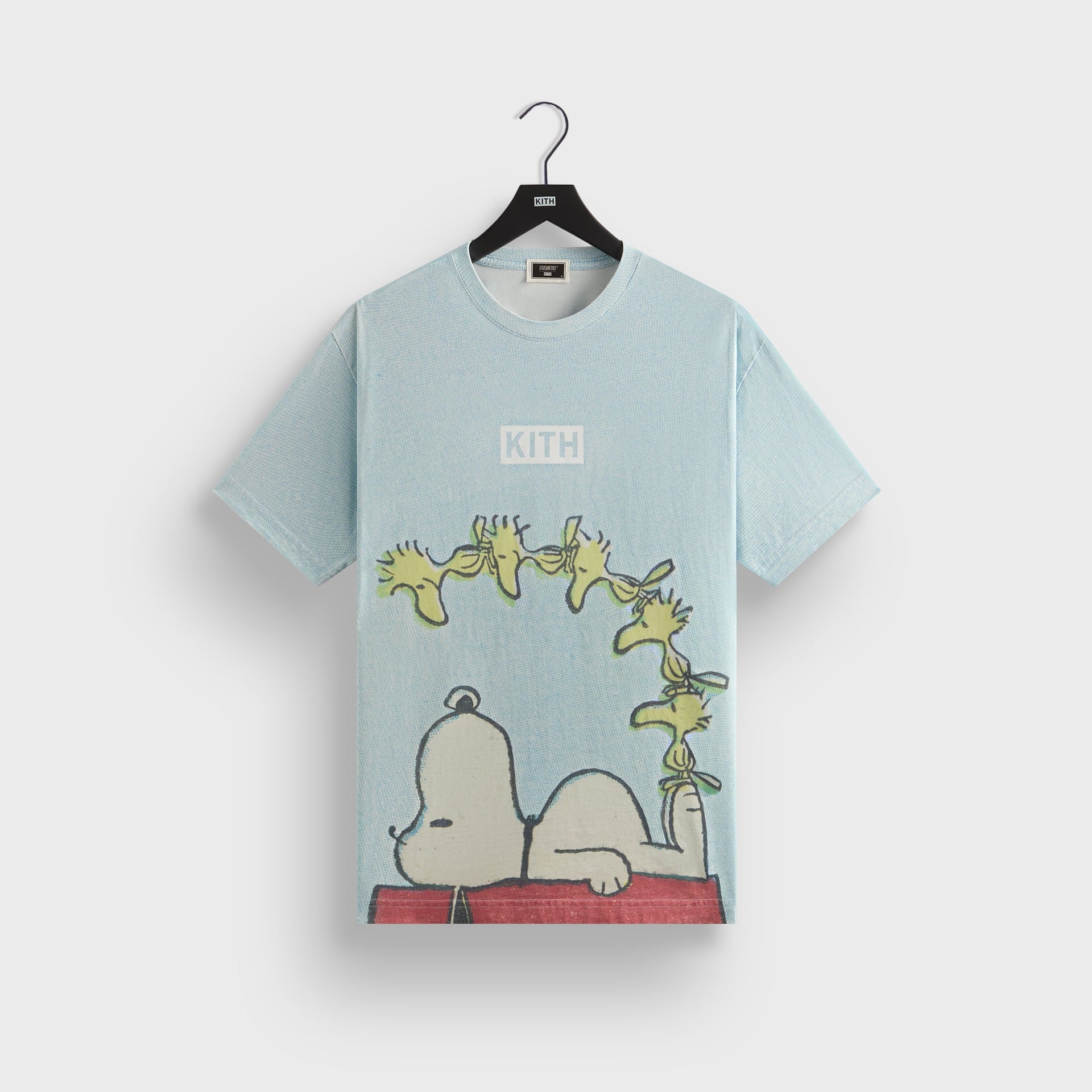 Kith for Peanuts Woodstock Doghouse Comic Vintage Tee - Glisten
