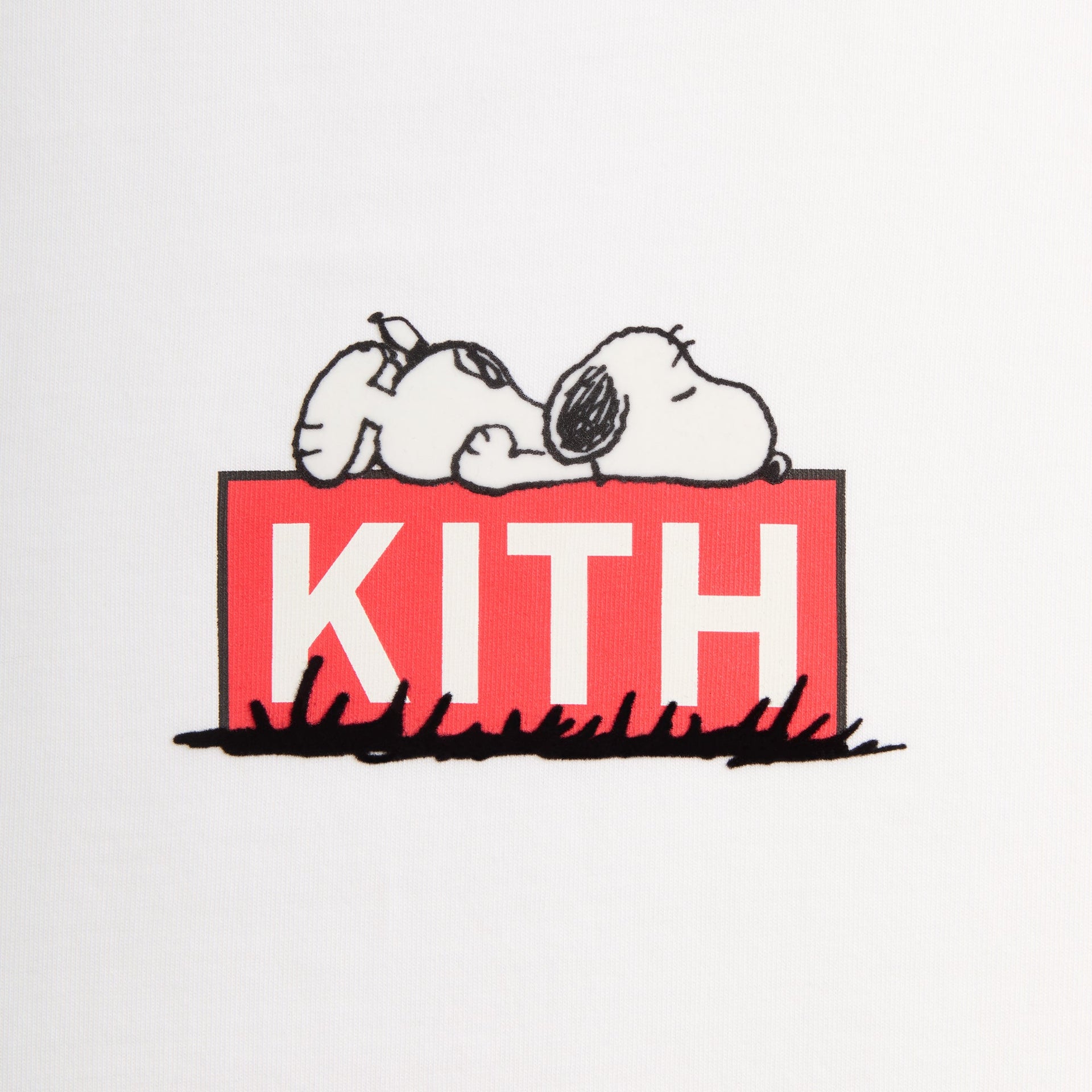 Kith for Peanuts Doghouse Classic Logo Tee - White
