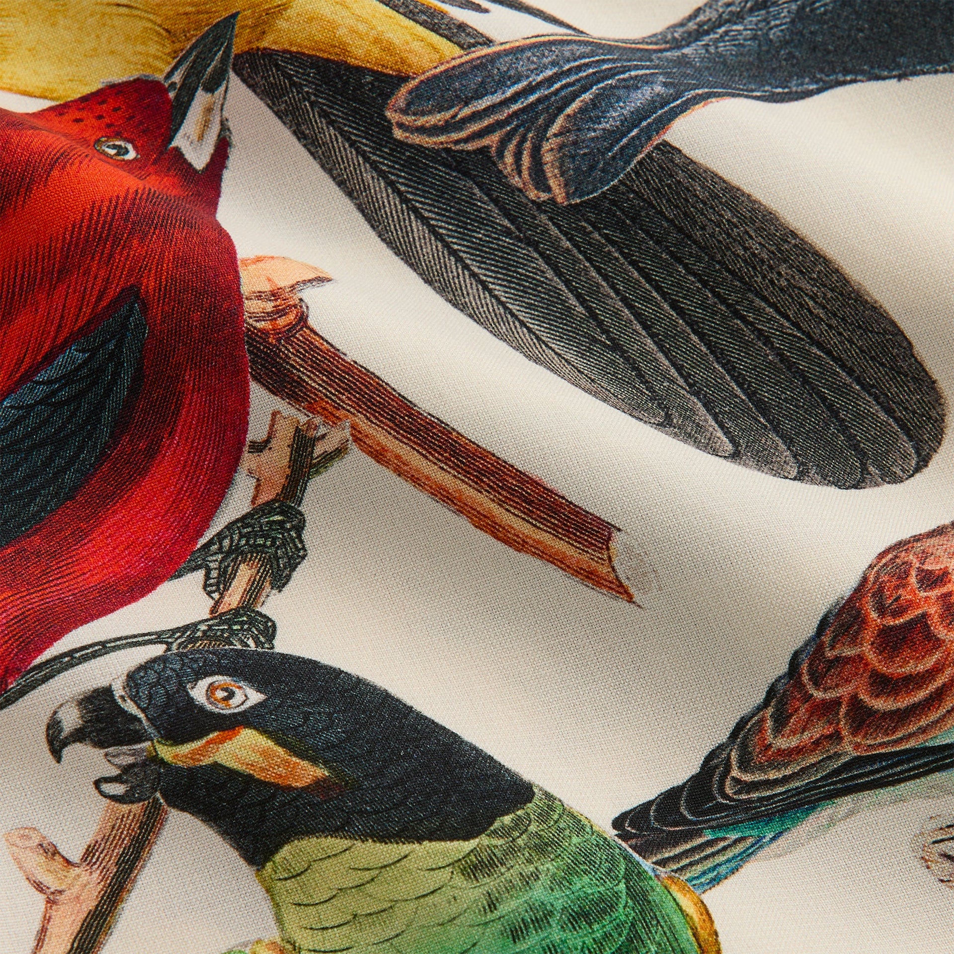 &Kin Tropical Bird Camp Collar Shirt - Sandrift