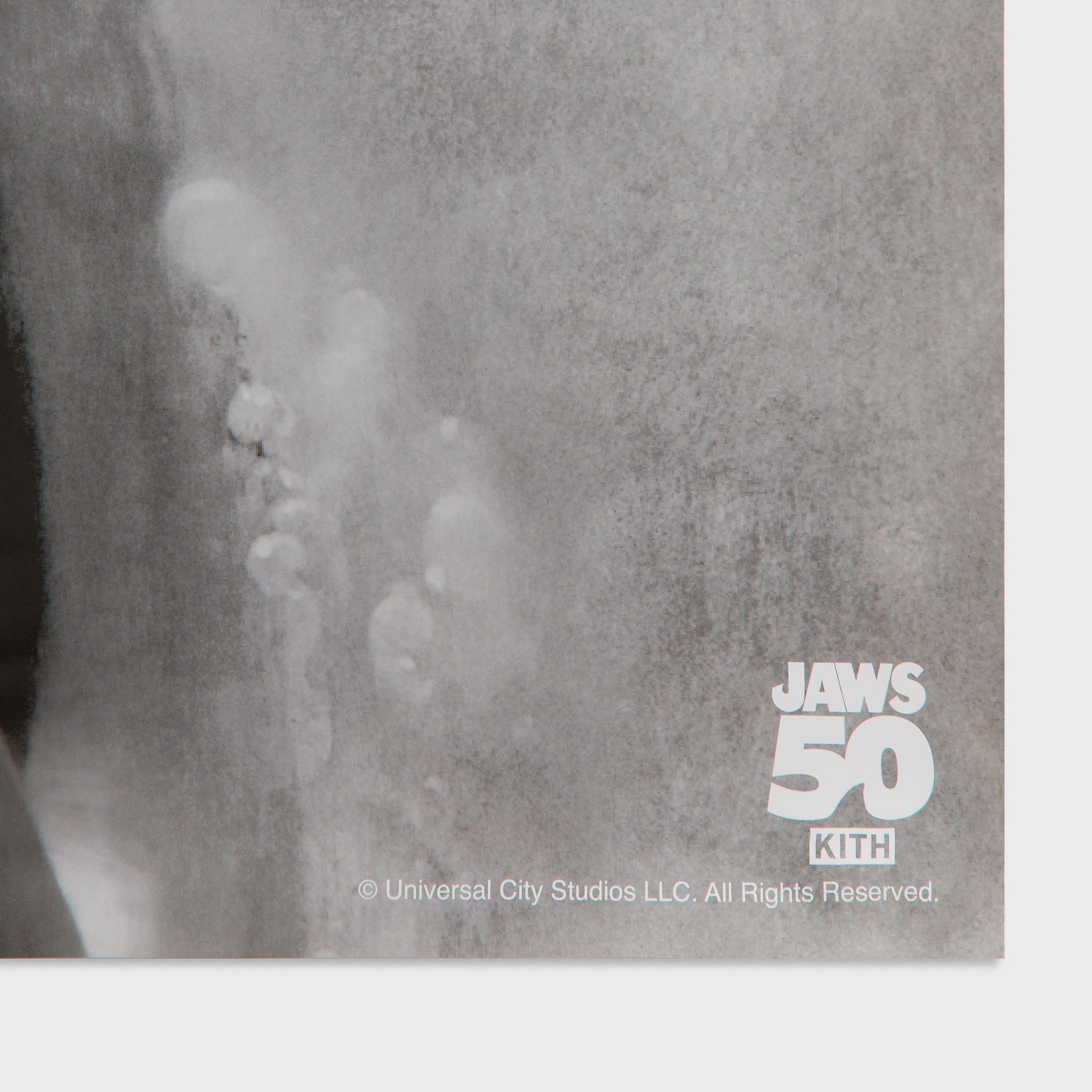 Kith for JAWS Japanese Movie Poster - Multi