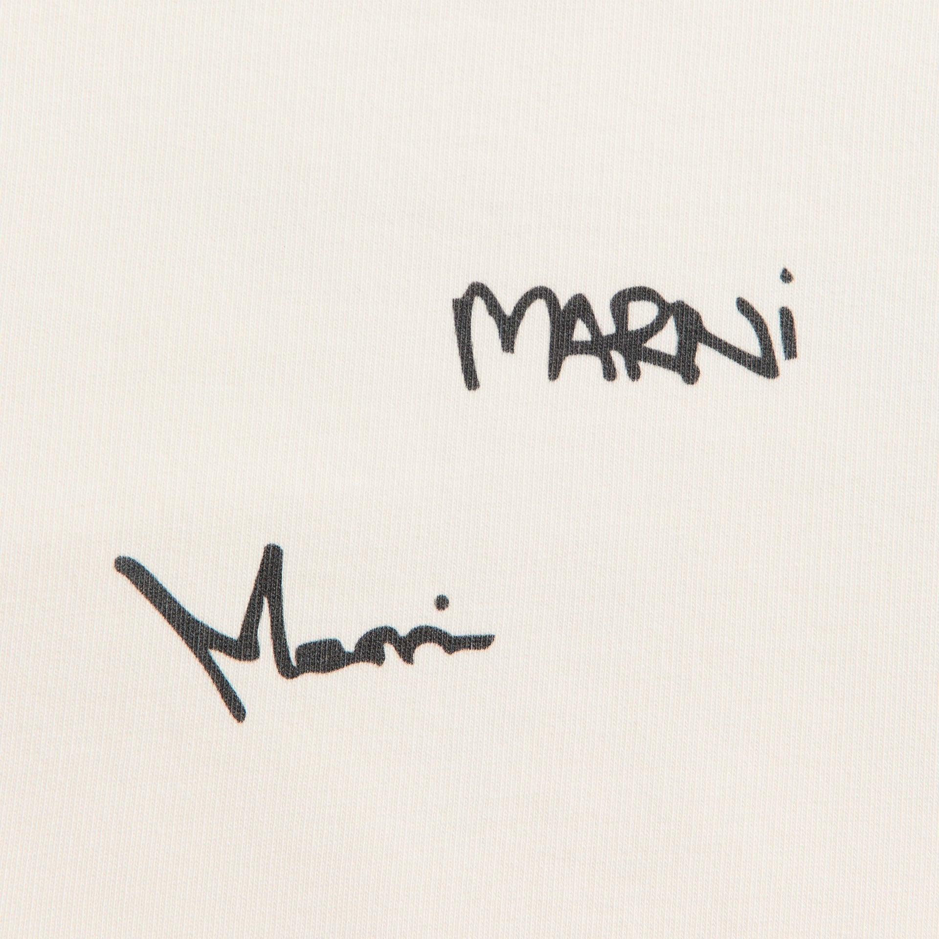 Marni Long Sleeve Sweatshirt in Natural White