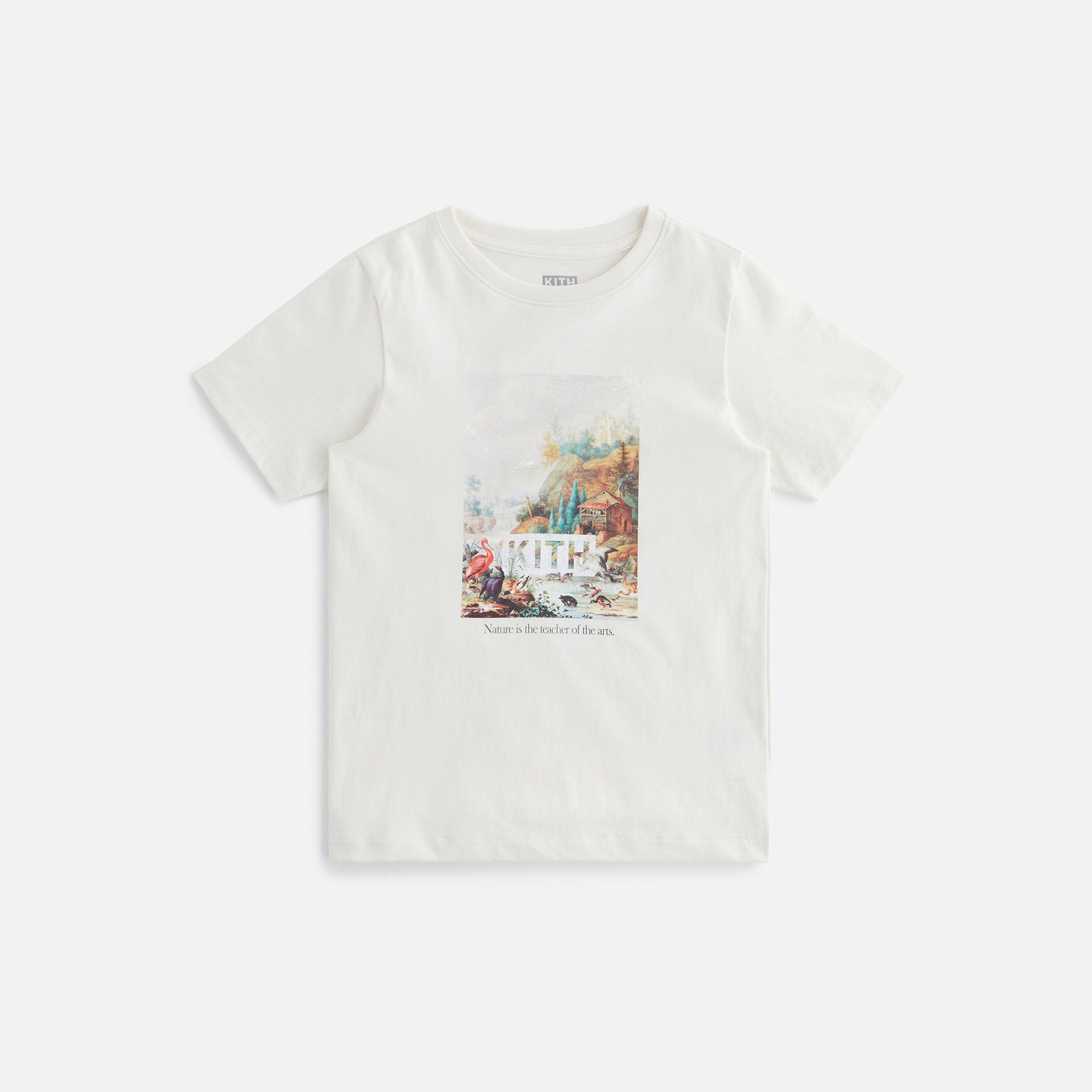 Kith Kids Art Of Nature Tee - Sandrift