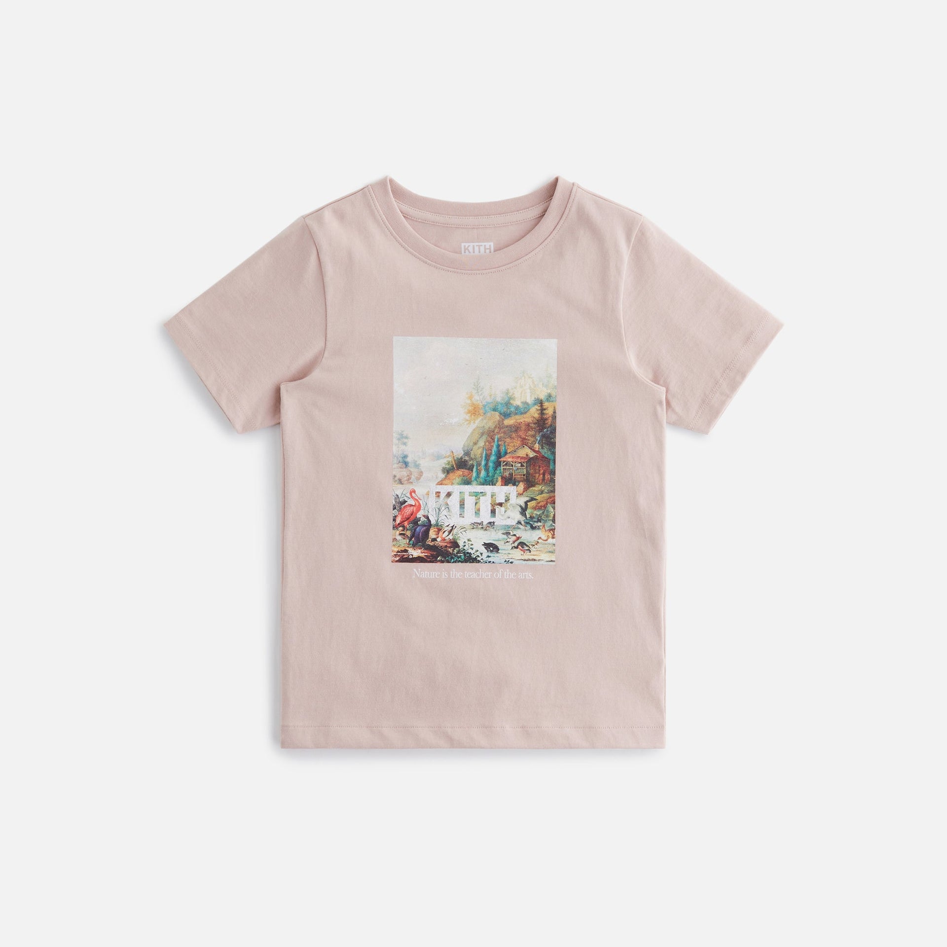 Kith Kids Art Of Nature Tee - Morganite