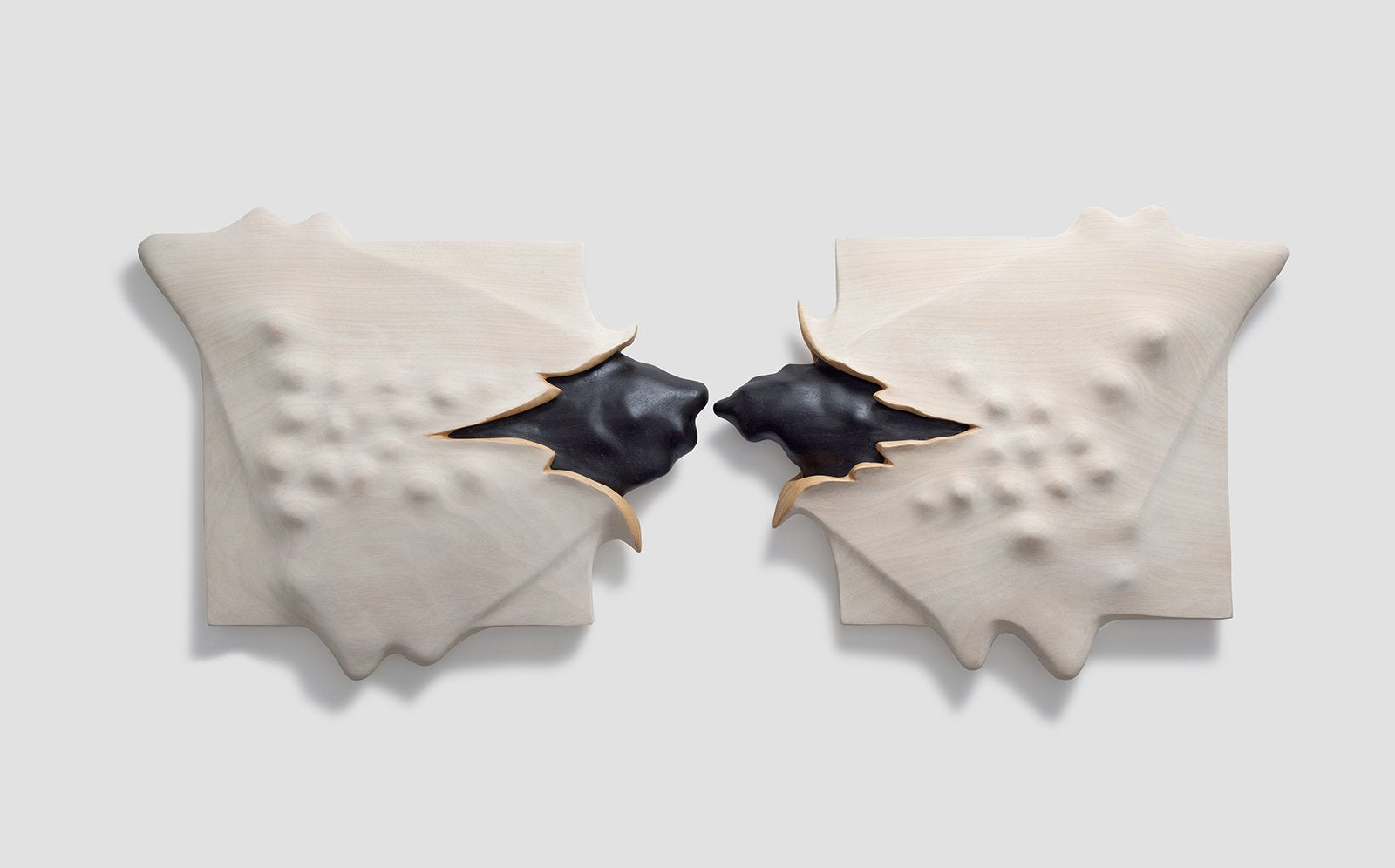 Butterfly Effect Exhibition by Evren Erol at the Arsham/Fieg Gallery