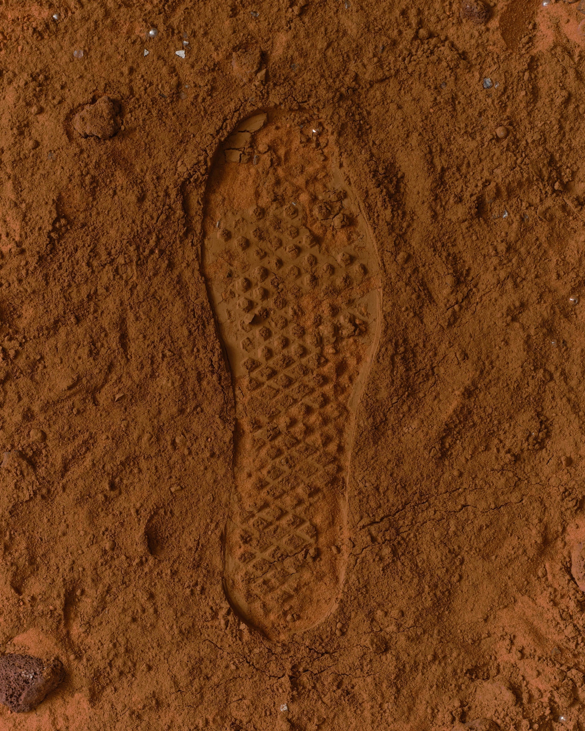 Kith Editorial for Vans Old Skool 36 Pearlized