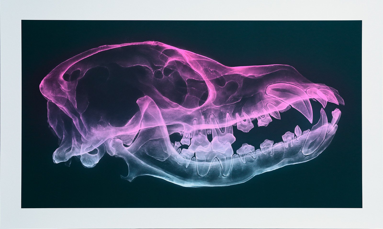 SHOK-1 XS Exhibition A at the Arsham/Fieg Gallery
