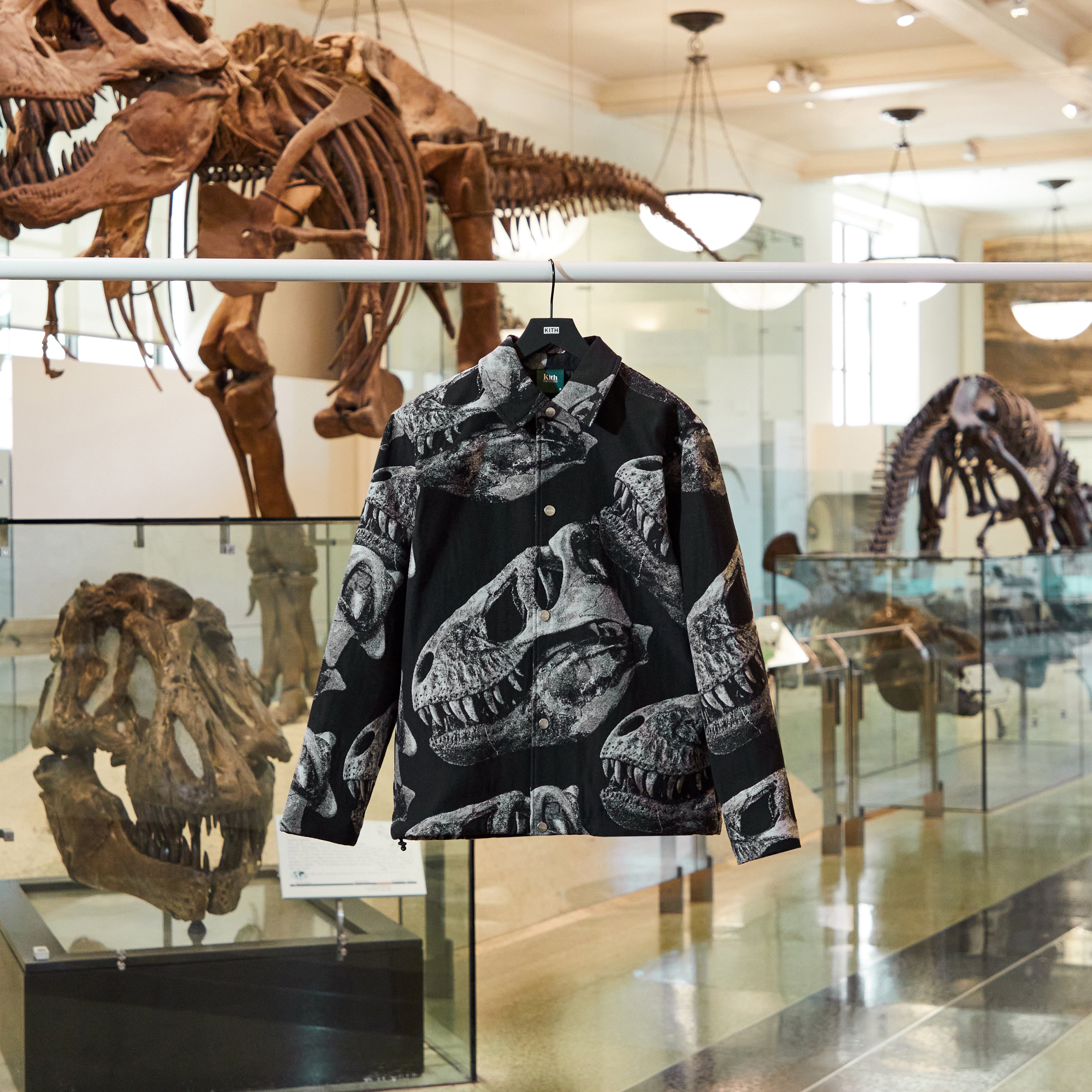 Kith for the American Museum of Natural History | Kith Europe
