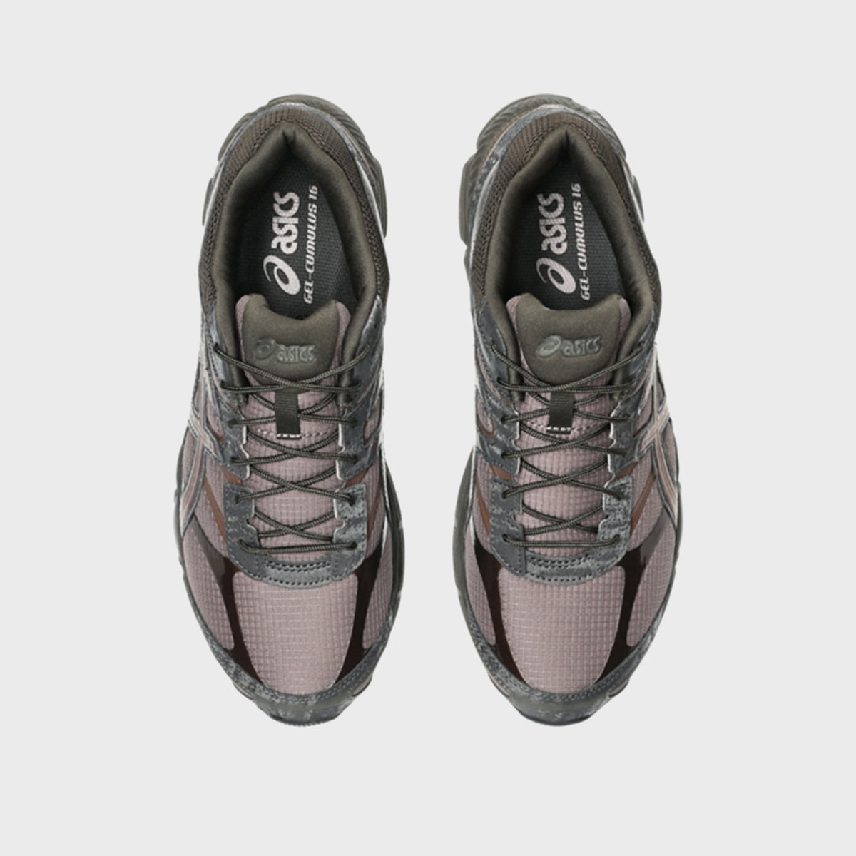 ASICS Gel-Cumulus 16 - Cocoa Powder / Black