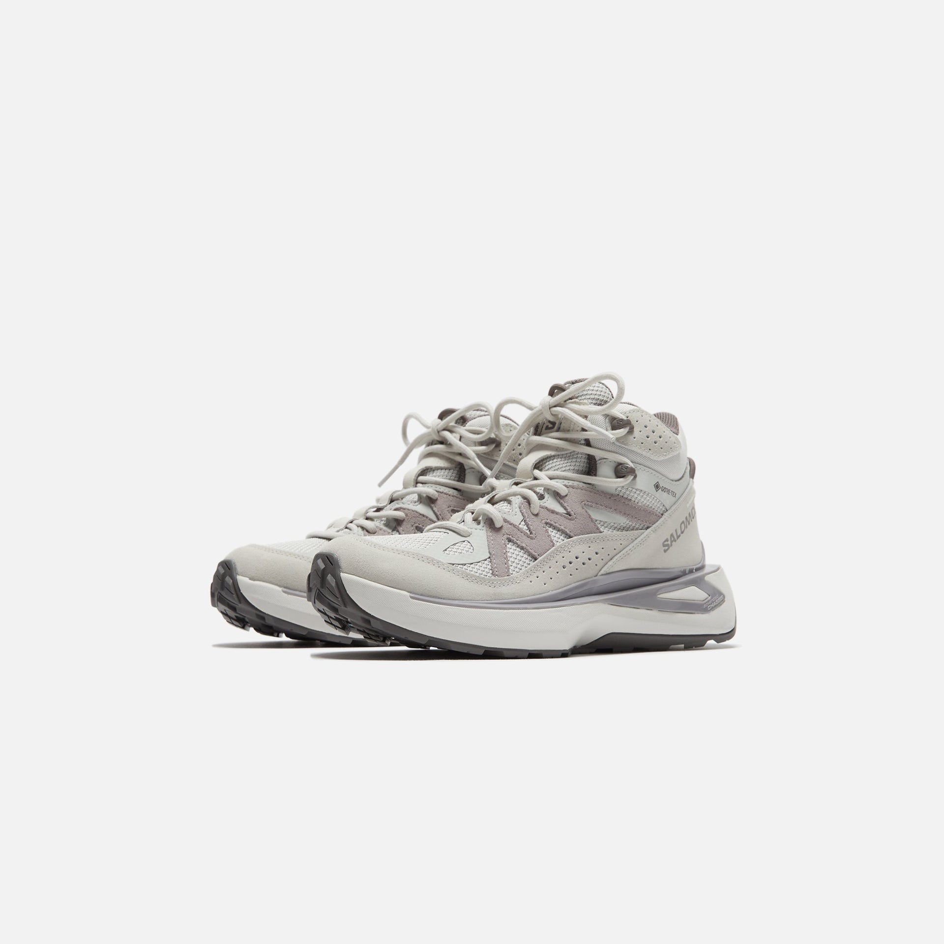 Salomon Odyssey ELMT Mid GTX - Métal / Roche lunaire / Chaton prune