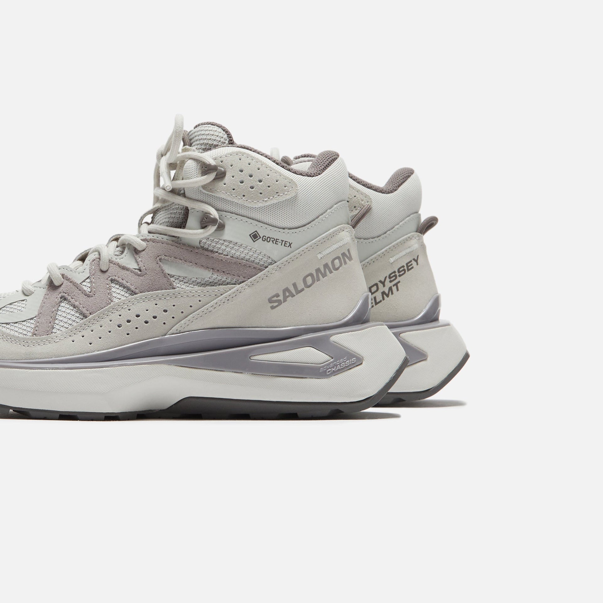 Salomon Odyssey ELMT Mid GTX - Métal / Roche lunaire / Chaton prune