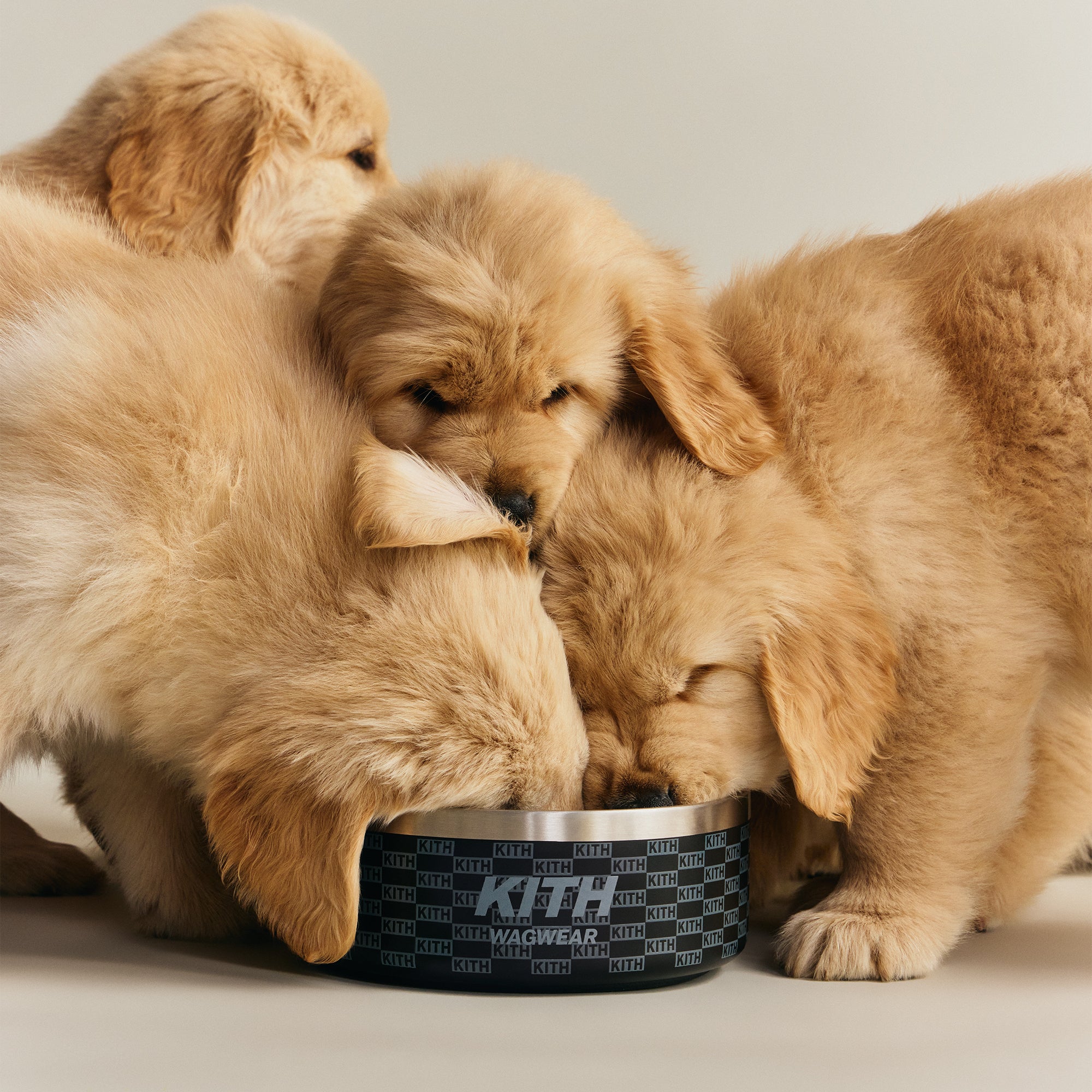Kith for wagwear Metal Dog Bowl - Black – Kith Europe
