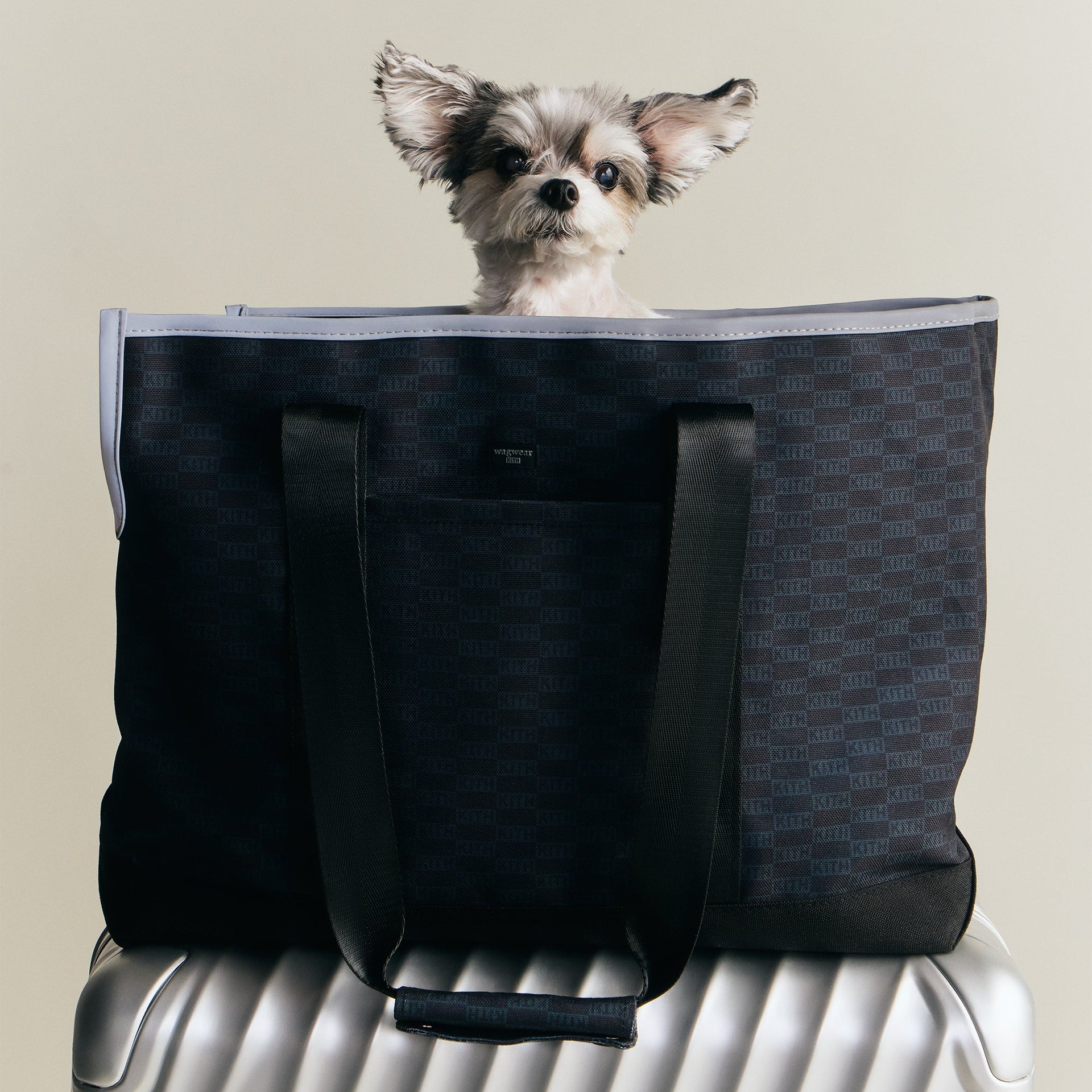 Kith for wagwear Carpenter Bag Carrier - Black