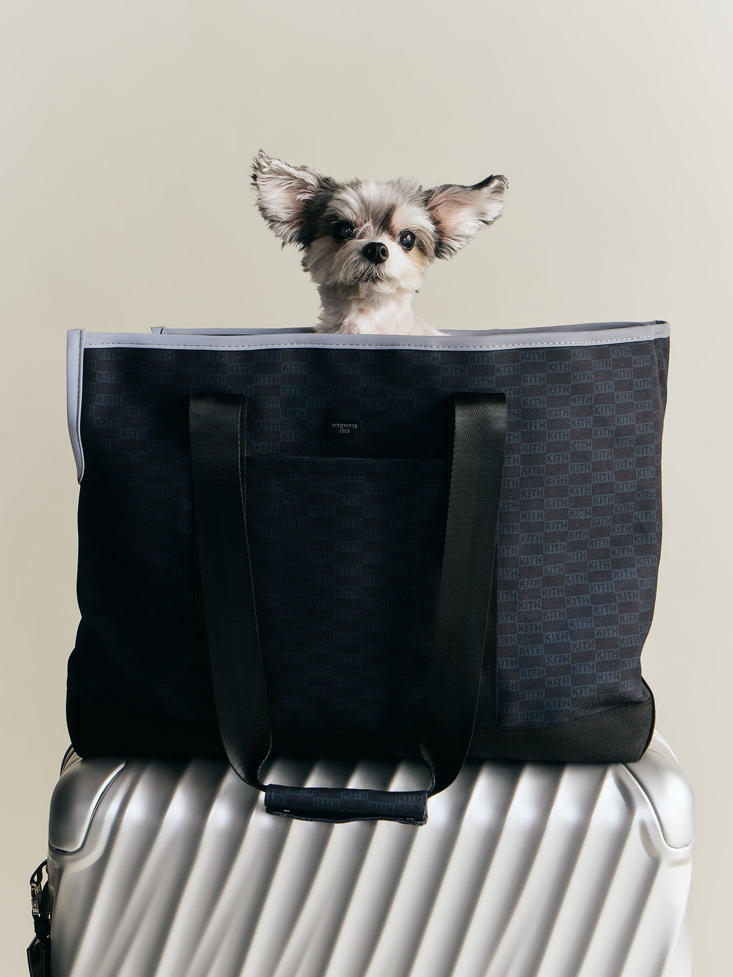 Kith for wagwear – Kith Europe