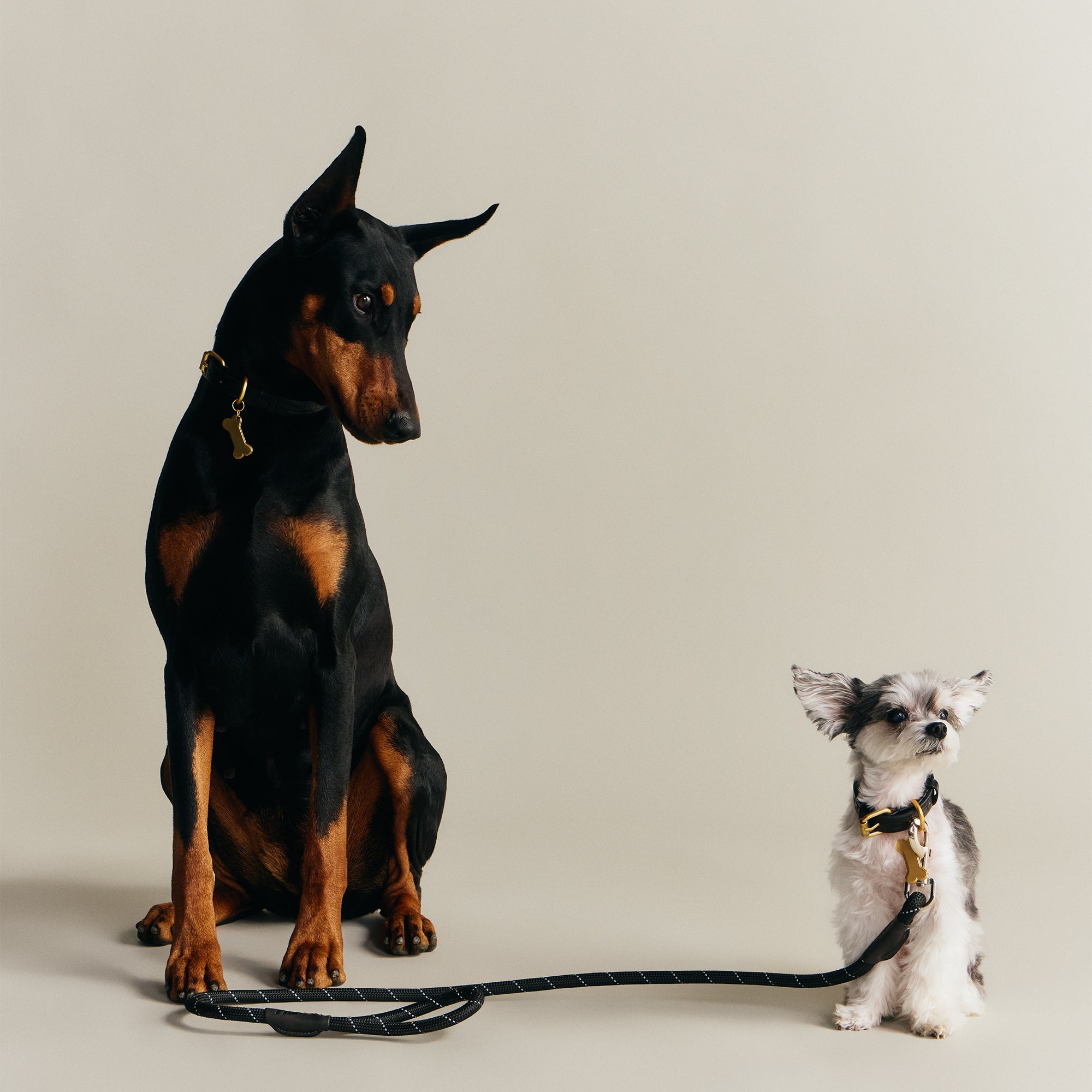 Kith for wagwear Rope Leash - Black – Kith Europe