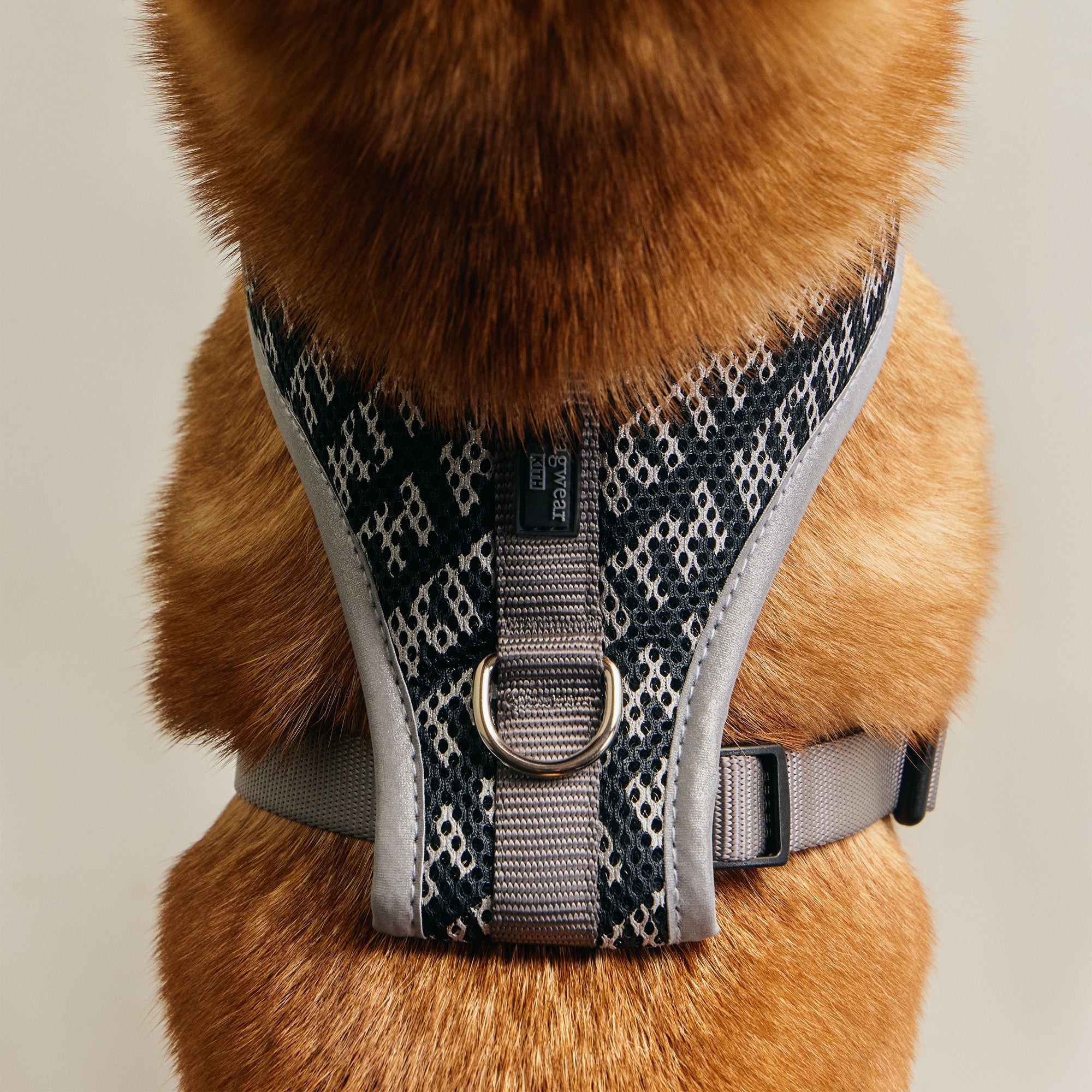 Kith for wagwear Padded Harness - Black – Kith Europe