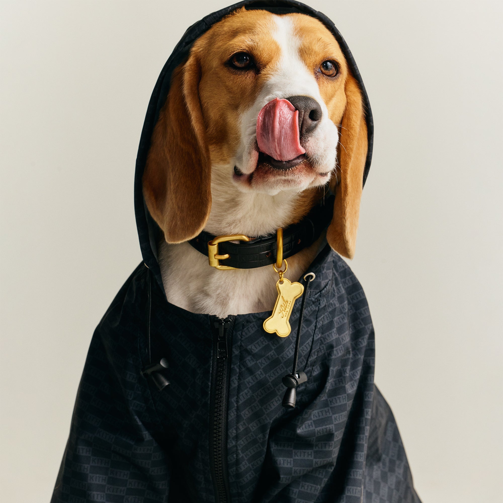 新品 Kith for wagwear Nylon Rainbreaker L Kith for wagwear Nylon Rainbreaker - Black – Kith Europe