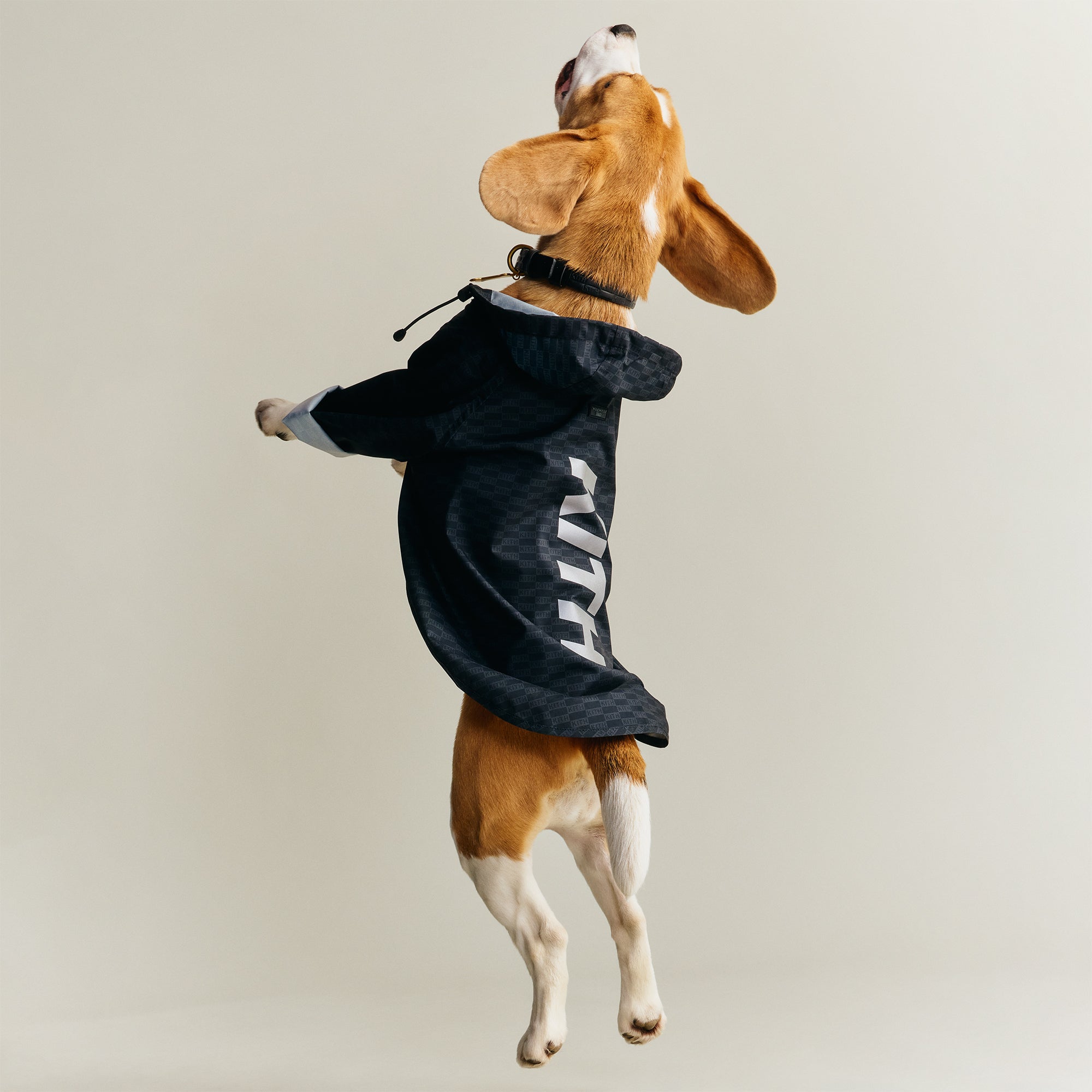 Kith for wagwear Nylon Rainbreaker - Black – Kith Europe