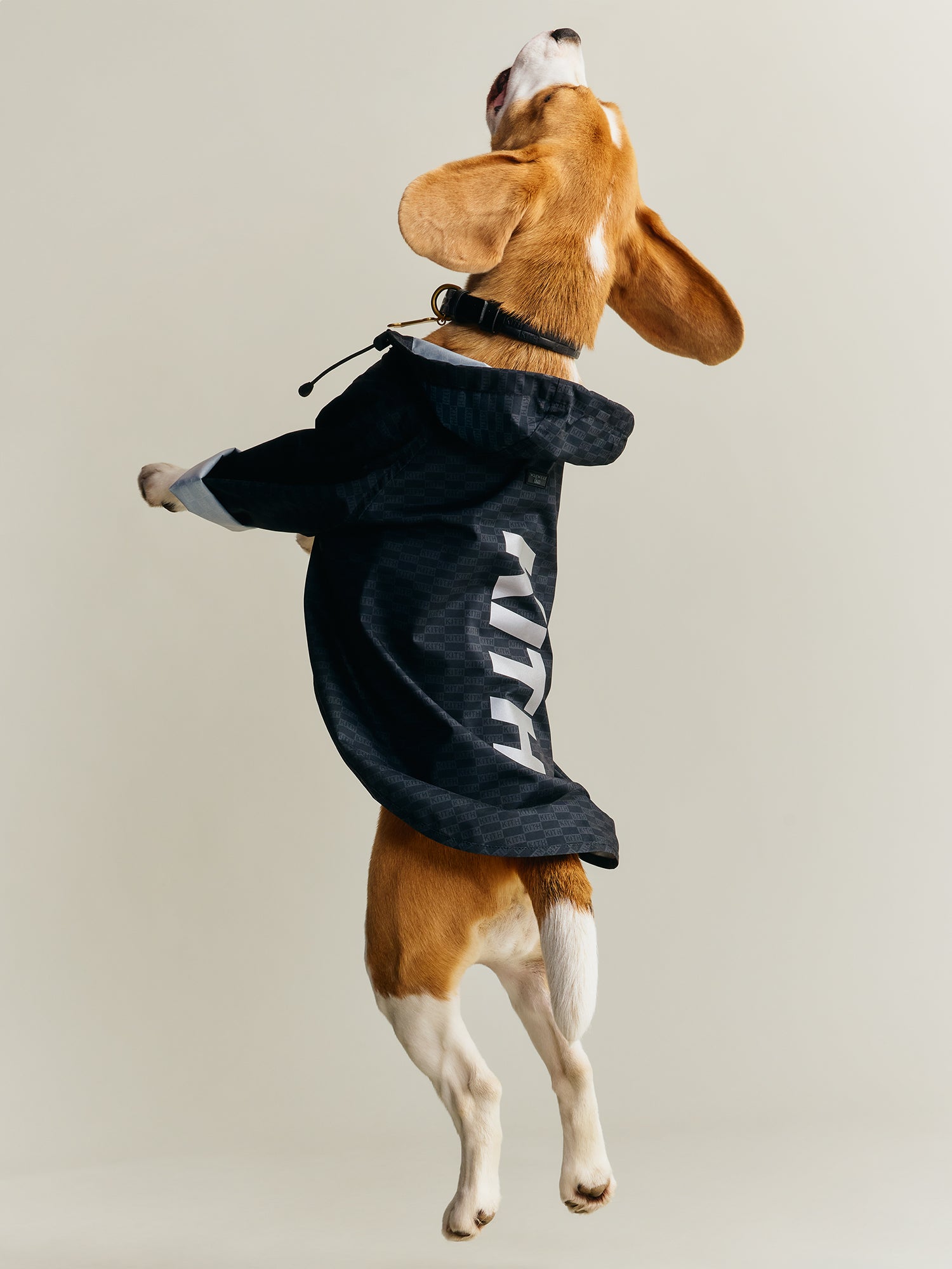 Kith wagwear XSサイズ Kith for wagwear – Kith Europe
