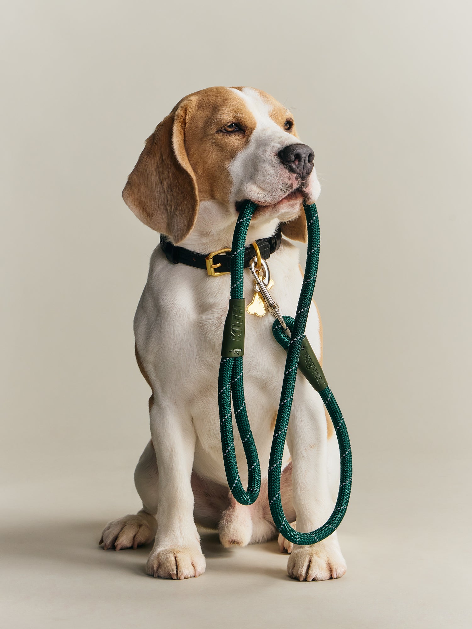 Kith for wagwear – Kith Europe