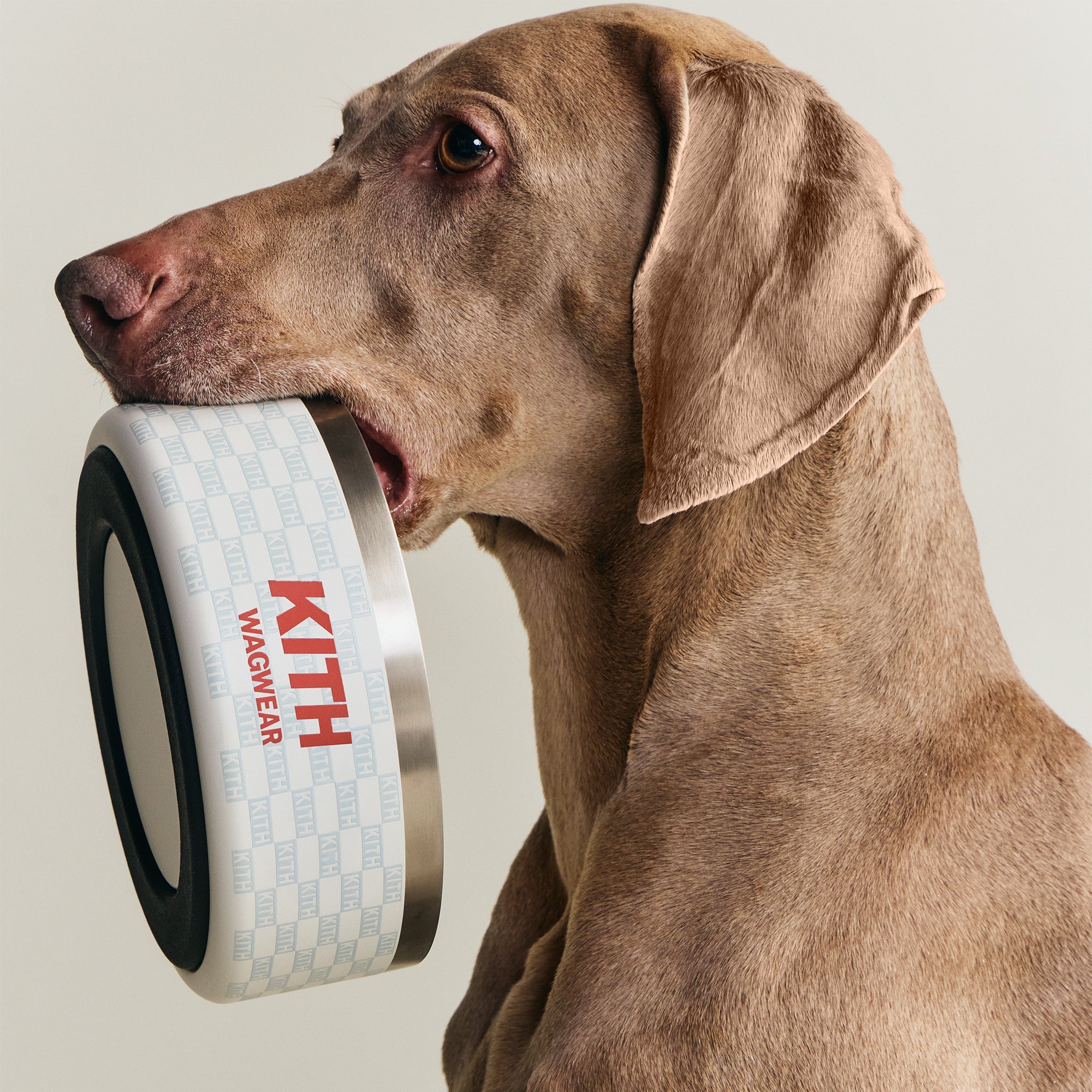 Kith for wagwear Metal Dog Bowl - Sandrift – Kith Europe