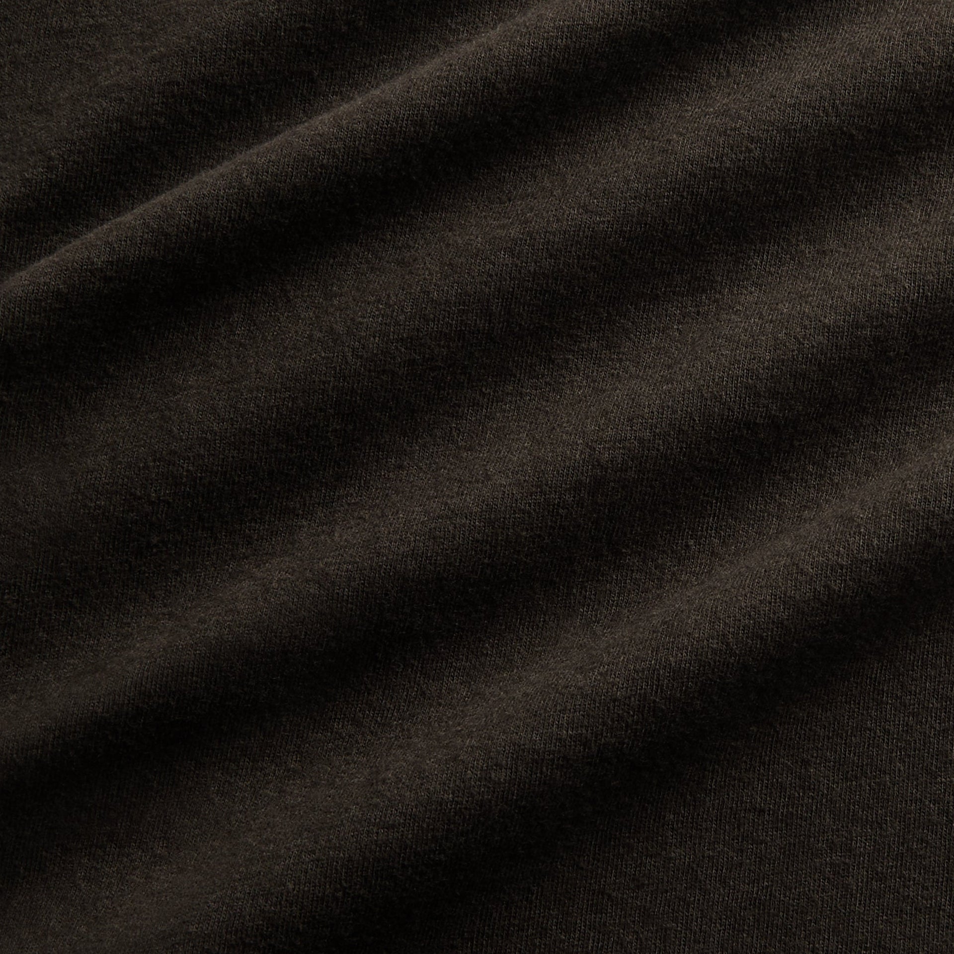 Auralee Brushed Organic Cotton Jersey Tee - Ink Black