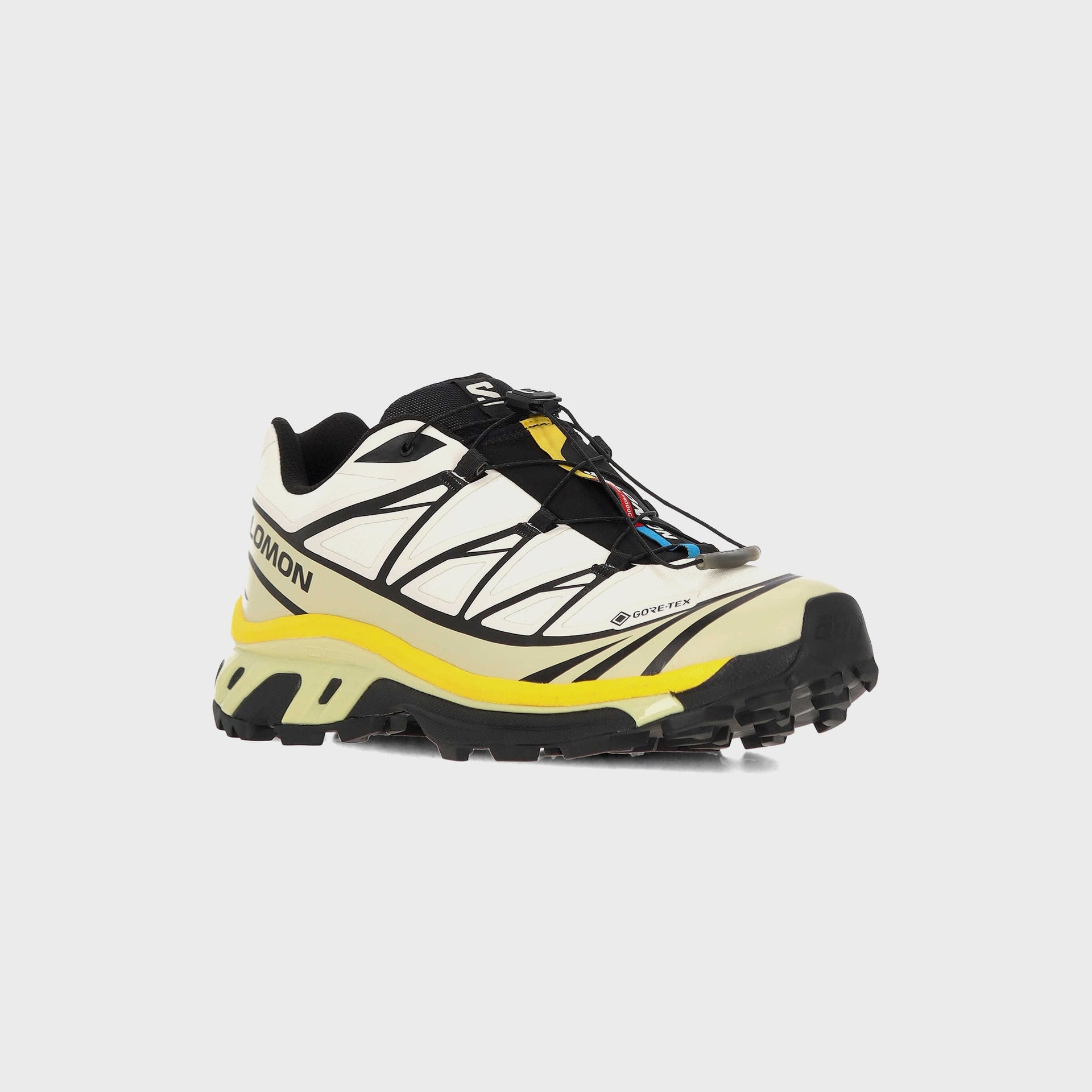 Salomon XT-6 GTX - Vanilla Ice / Bog / Shadow Green