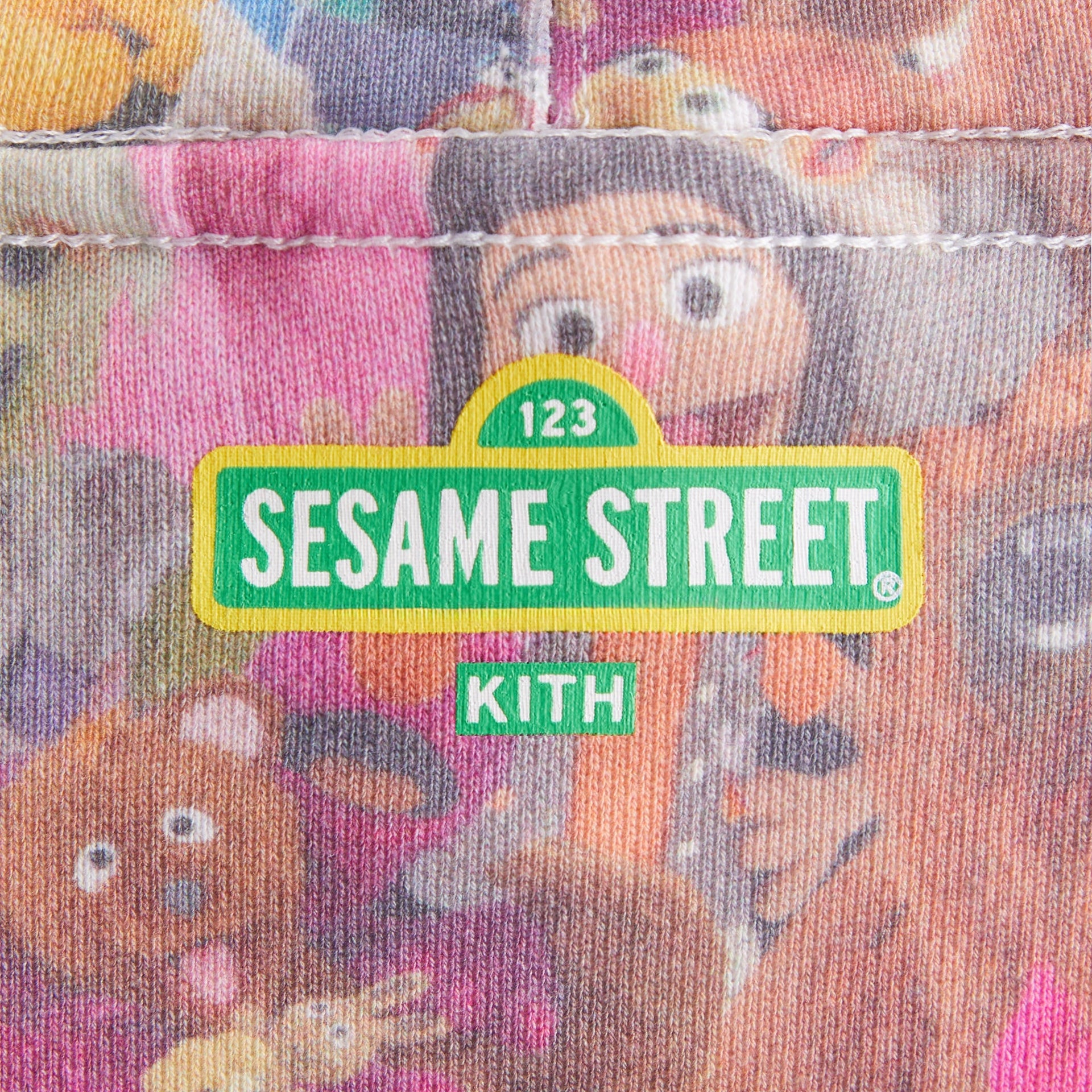 Kith Kids for Sesame Street Family Nelson Hoodie - Multi