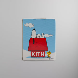 Kith for Peanuts Piggybank - Fury