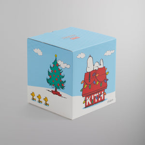 Kith for Snoopy Kithmas House Snow Globe - Pyre – Kith Europe
