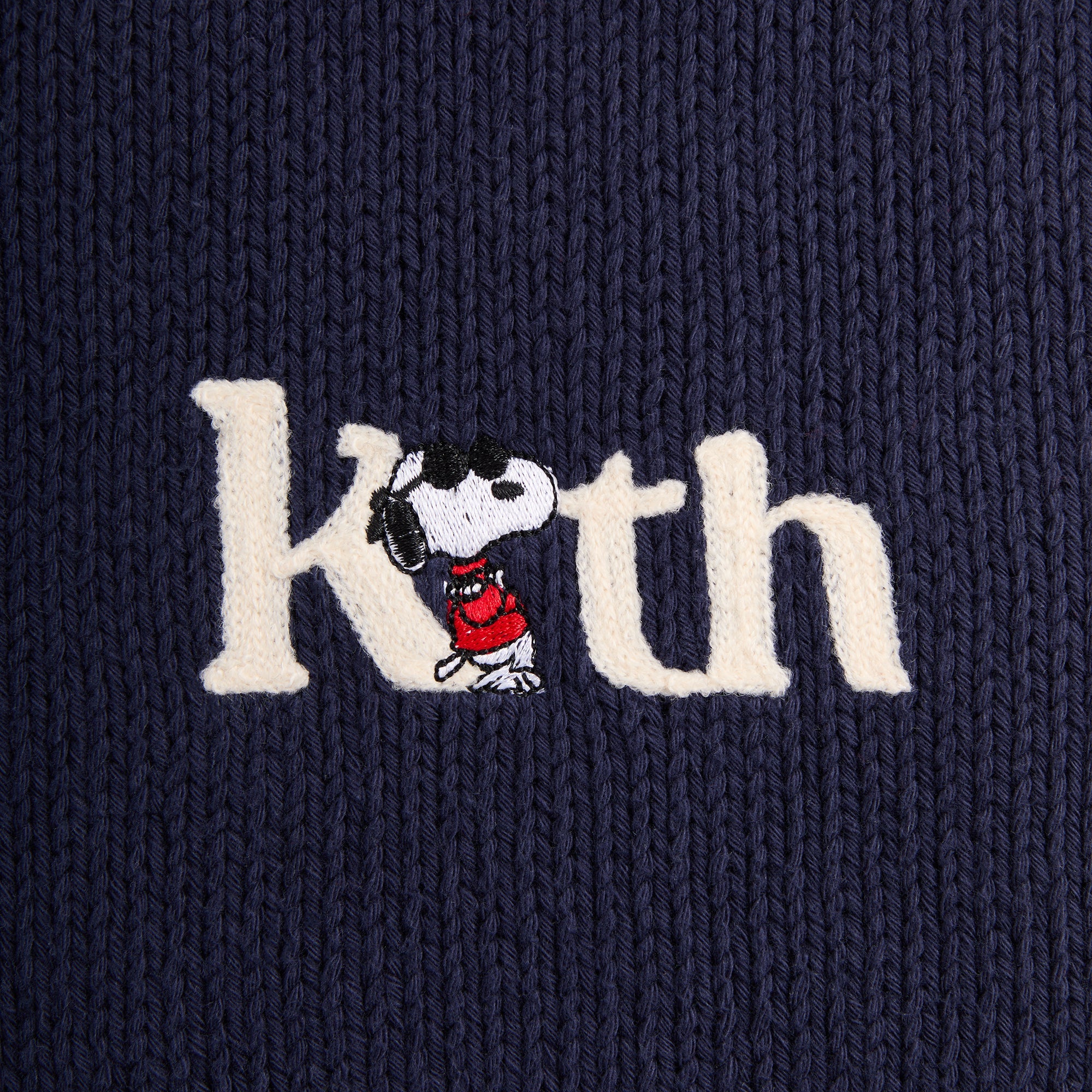Kith for Peanuts Globe Wyona Full Zip Sweater - Nocturnal