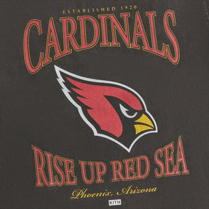 Phoenix Cardinals Shirt Vintage Throwback Arizona Cardinals