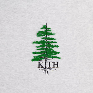 Kith for Columbia Redwood Williams III Hoodie - Light Heather Grey