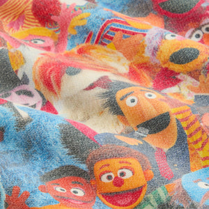 Kith for Sesame Street Family Williams III Hoodie - Multi