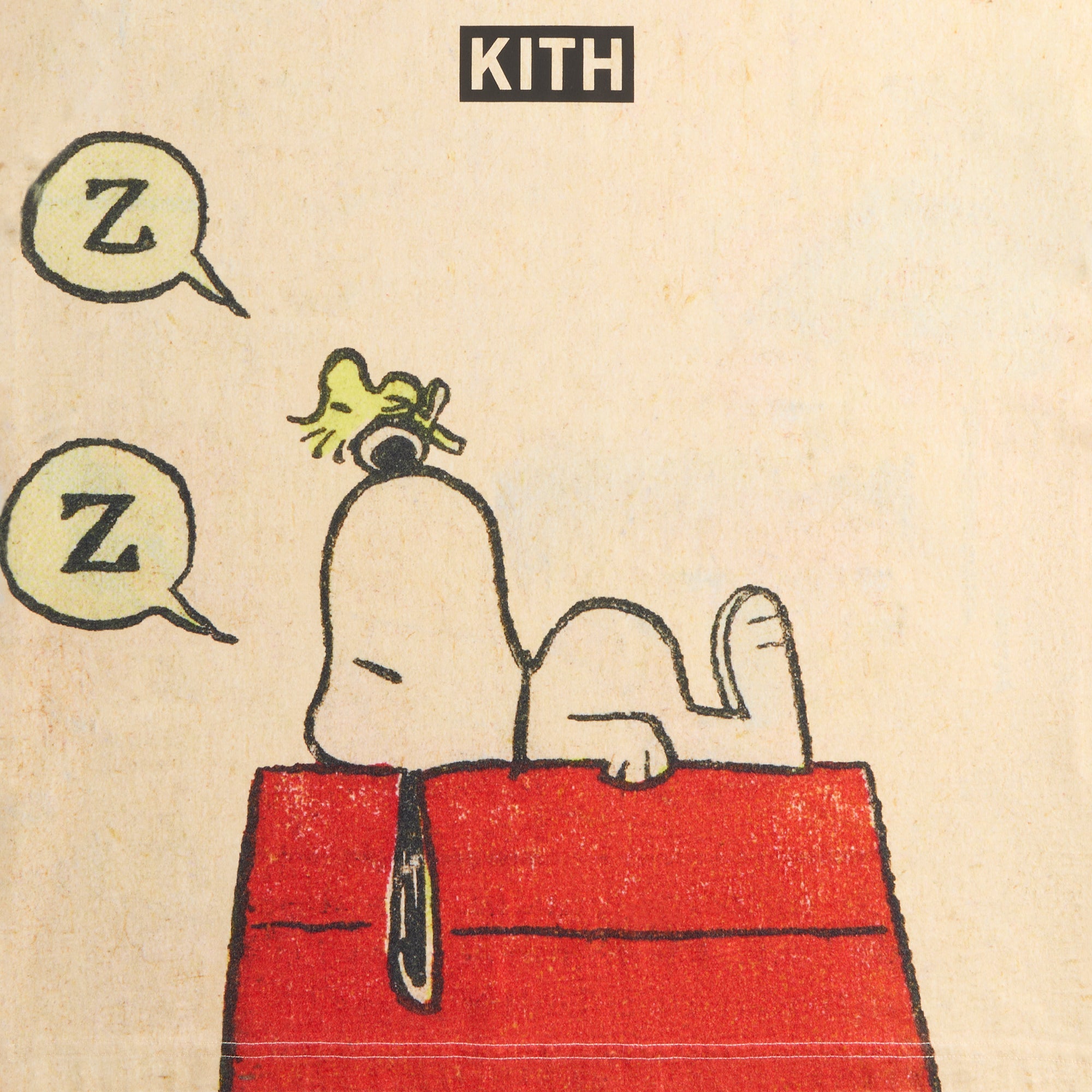 Kith for Peanuts Sleeping Doghouse Comic Vintage Tee