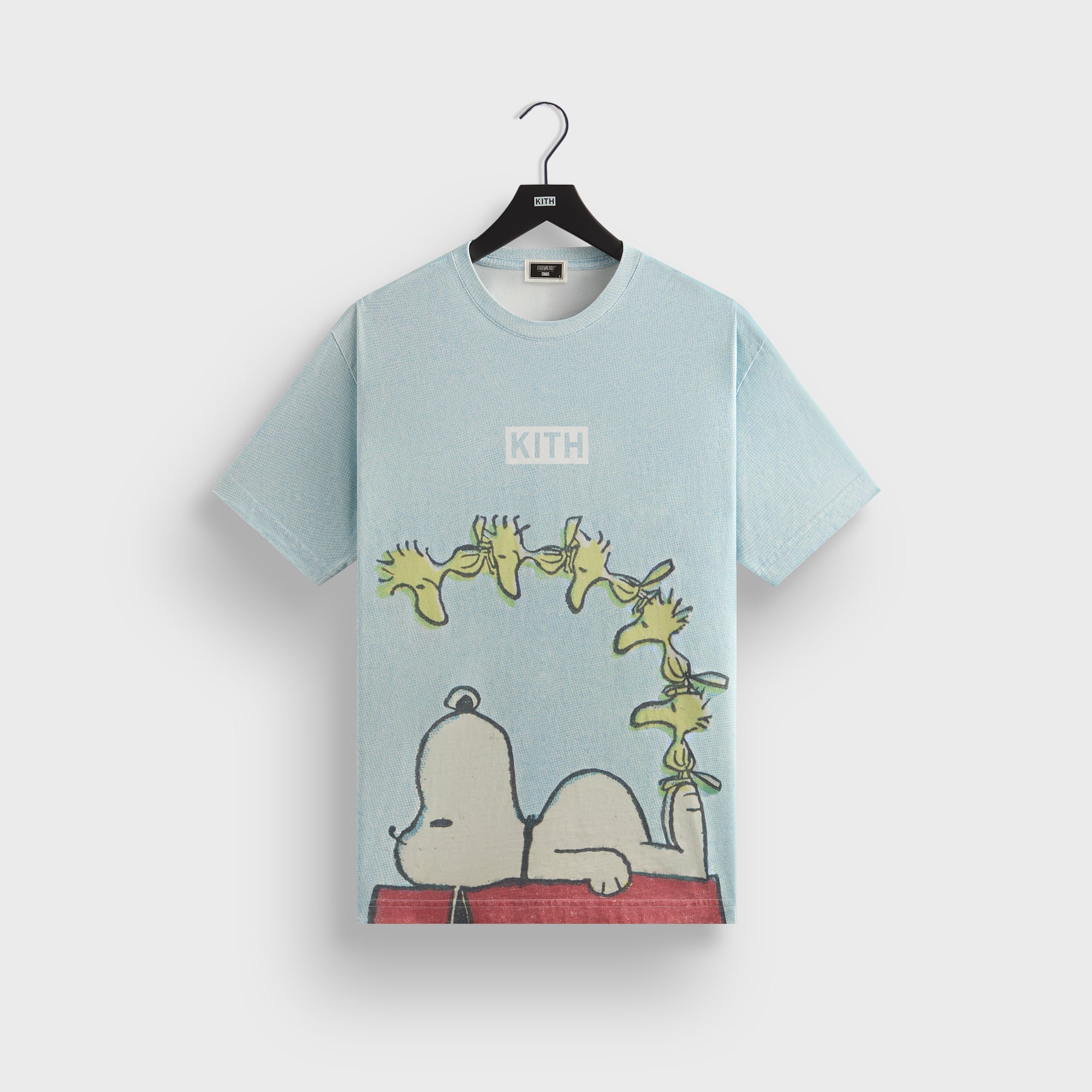 Kith for Peanuts Woodstock Doghouse Comic Vintage Tee