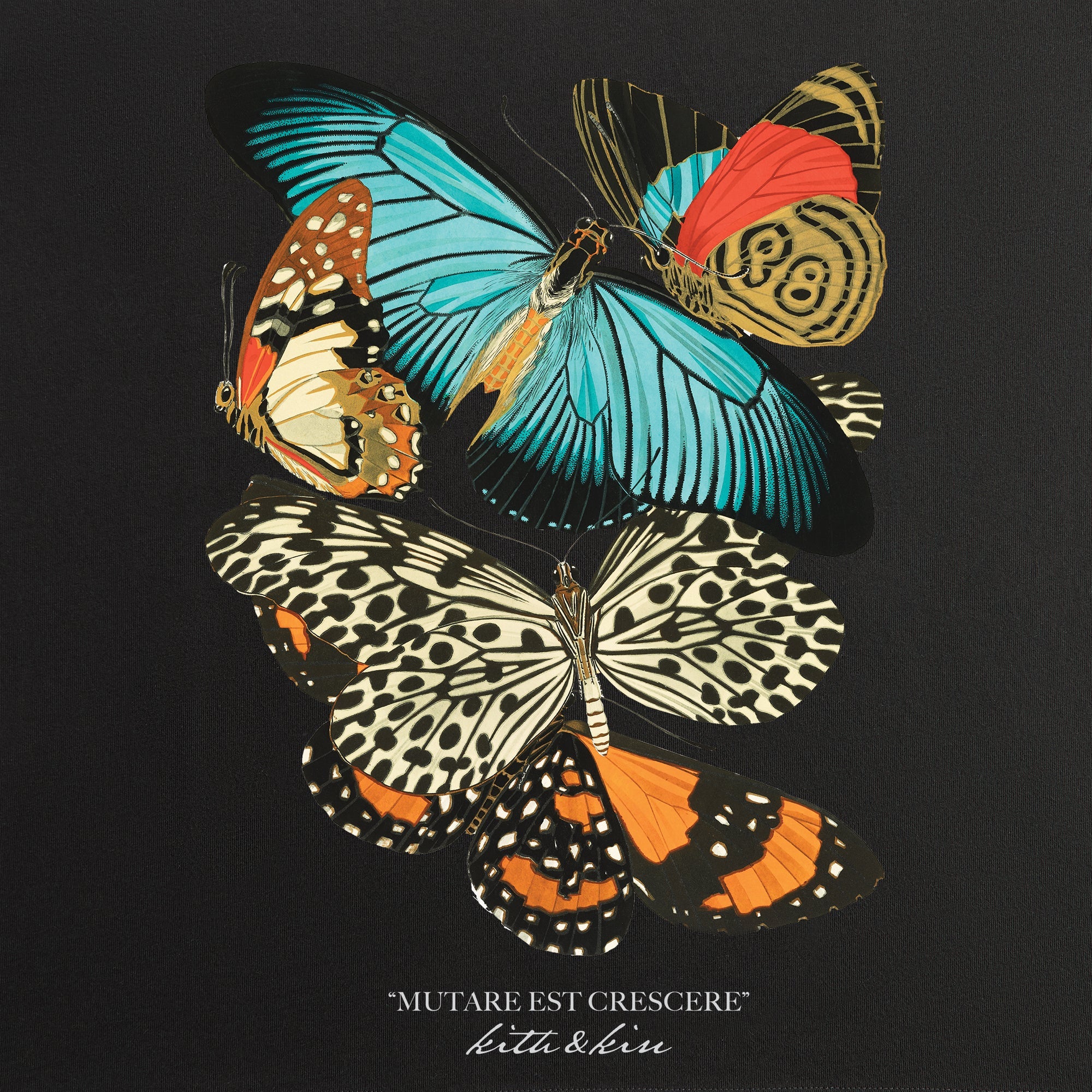 Kith Butterfly Vintage Tee - Black – Kith Europe