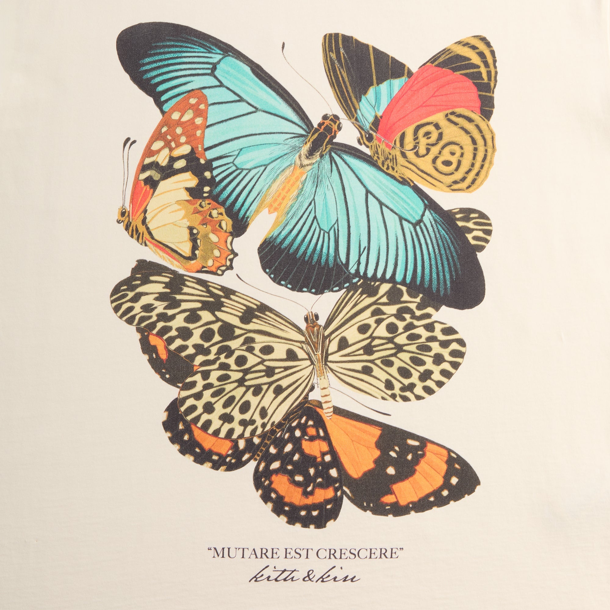 Kith Butterfly Vintage Tee - Sandrift – Kith Europe