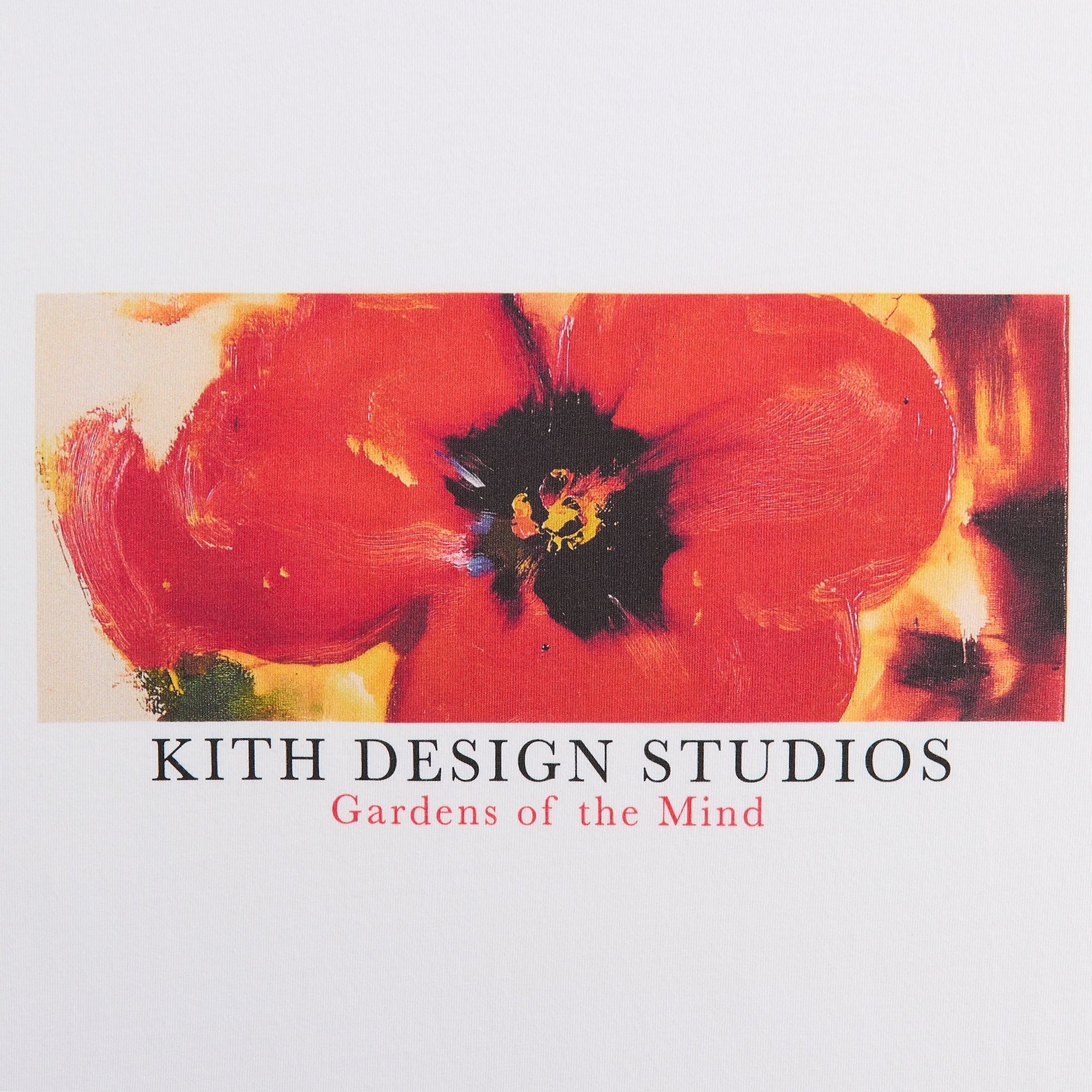 Kith Gardens of The Mind Vintage Tee - White - PH