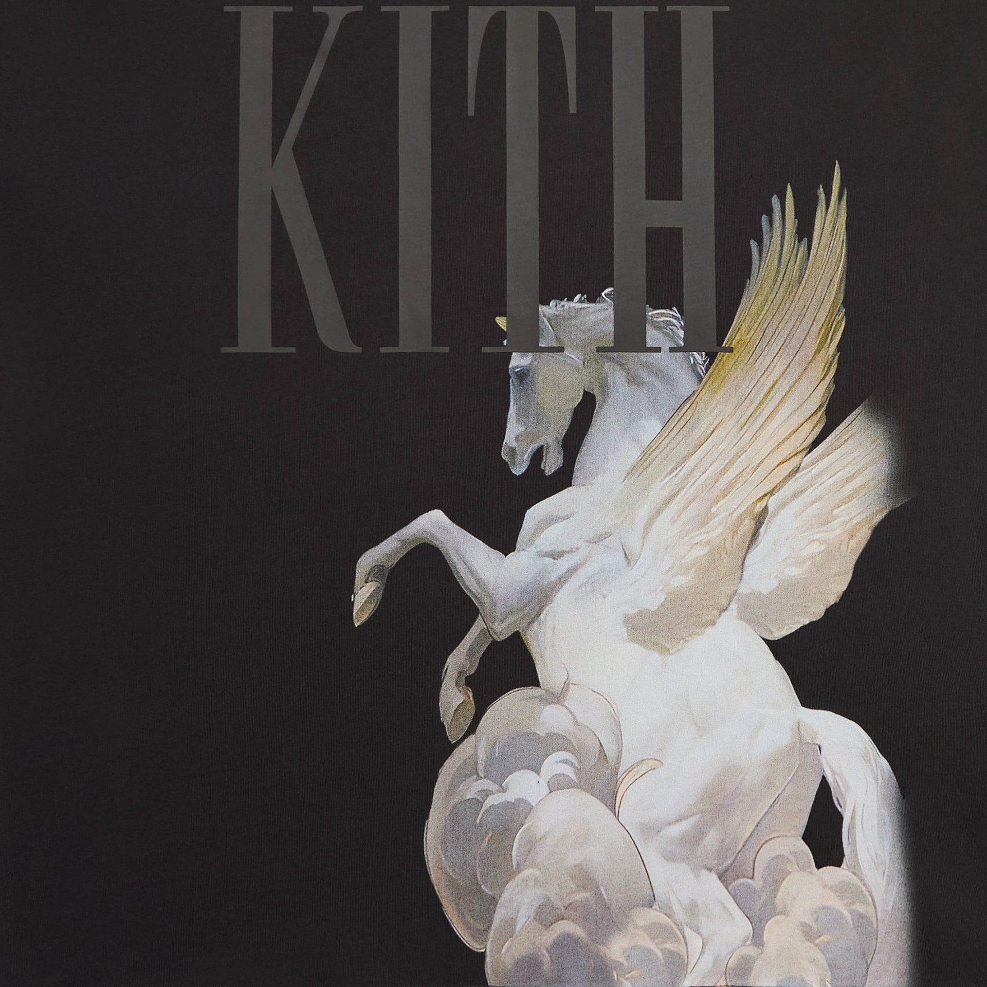 Kith Pegasus Vintage Tee - Black - PH