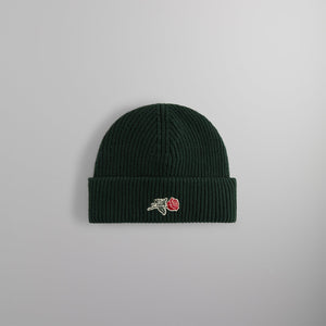 Kith Script Rose Felt Embroidery Cotton Beanie - Stadium PH