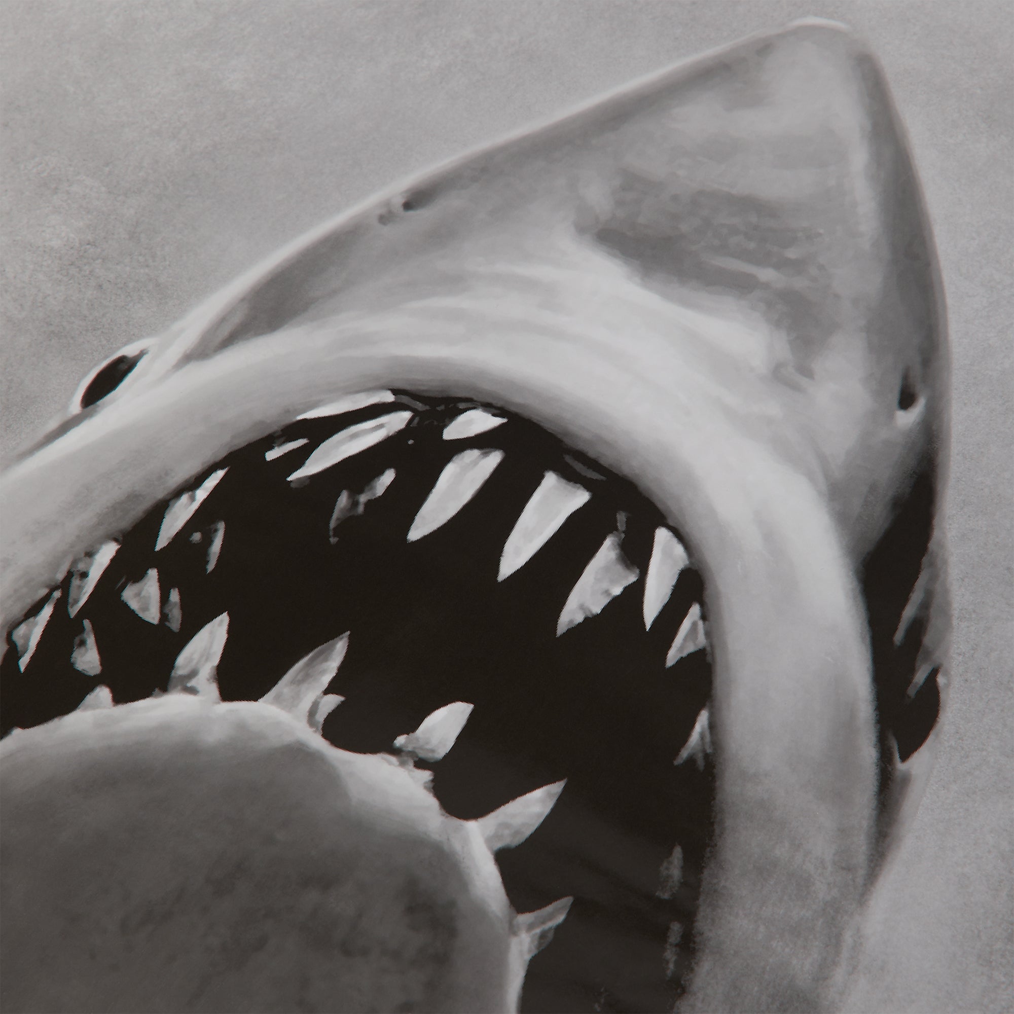 Kith for JAWS Japanese Movie Poster - Multi – Kith Europe