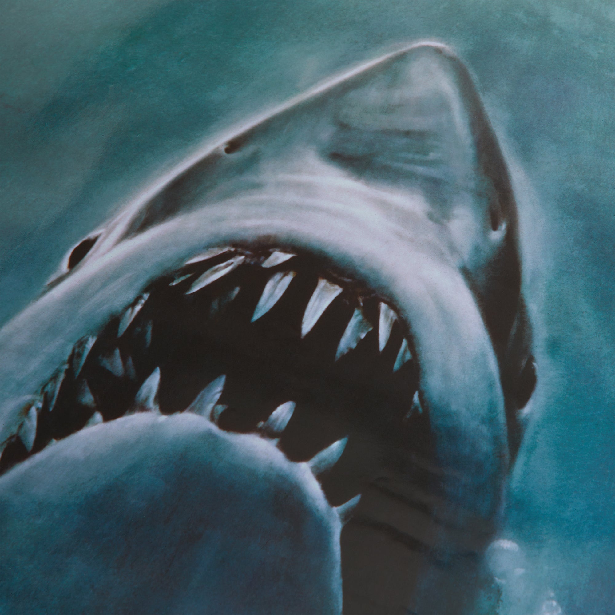 トップス Kith for JAWS Main Poster Vintage Tee Kith for JAWS Japanese Poster Vintage Tee - Black – Kith Europe