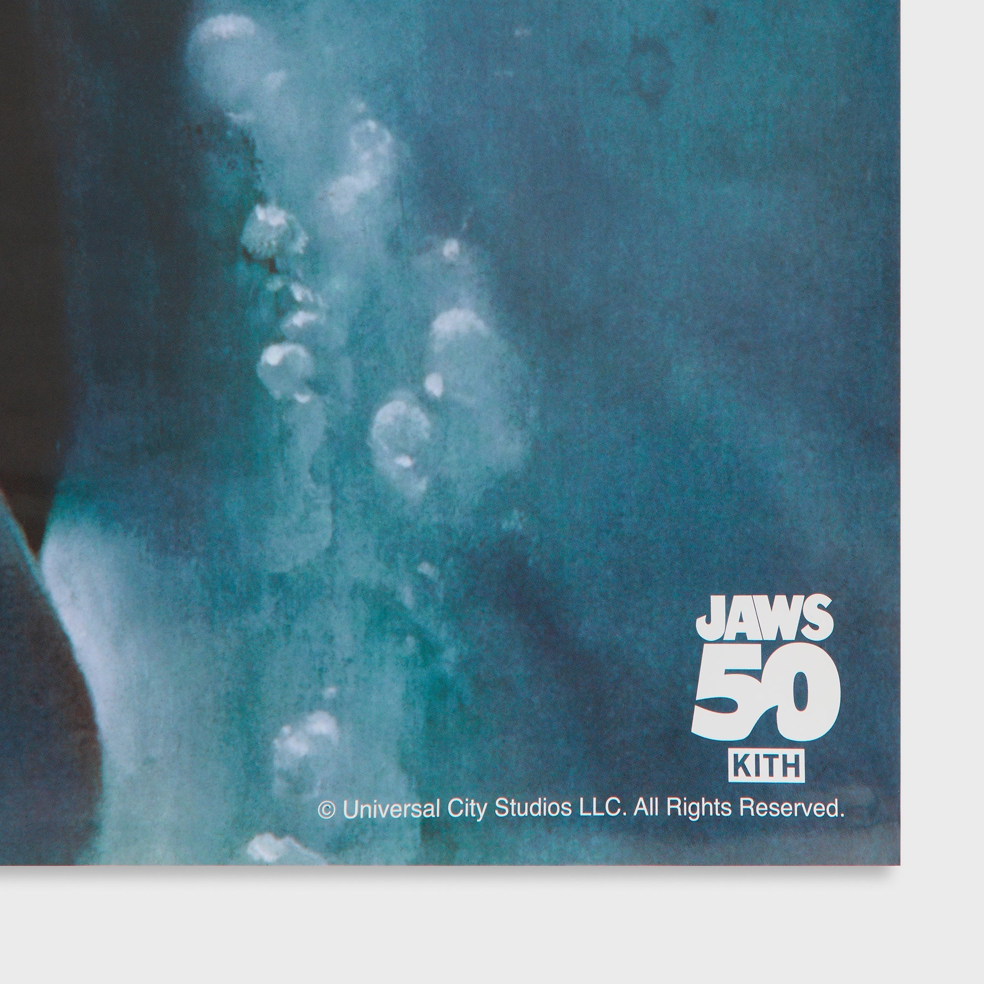 Kith Jaws 映画 日本語ポスター 2025 movie poster Kith Jaws 映画 日本語ポスター 2025 movie poster