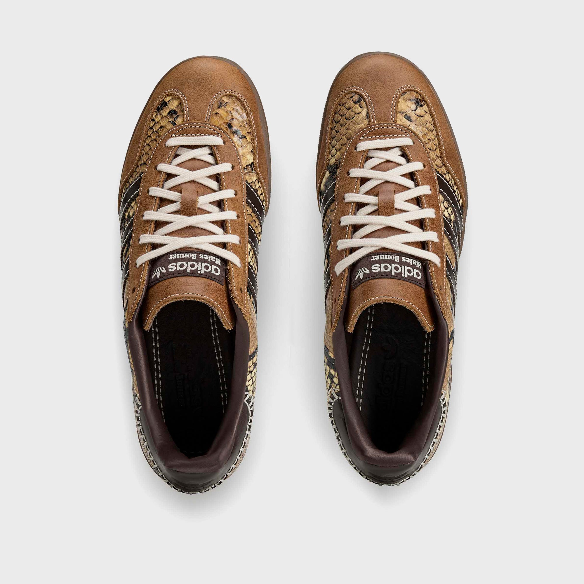 adidas x Wales Bonner Gazelle Snake - Dust Rust / Wonder White