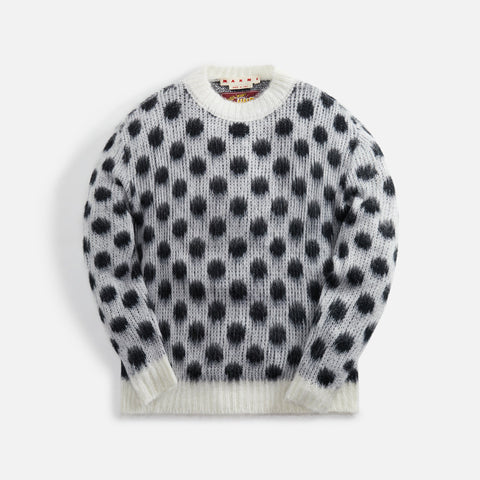 Marni Brushed Dots Fuzzy Wuzzy Sweater - Lily / White